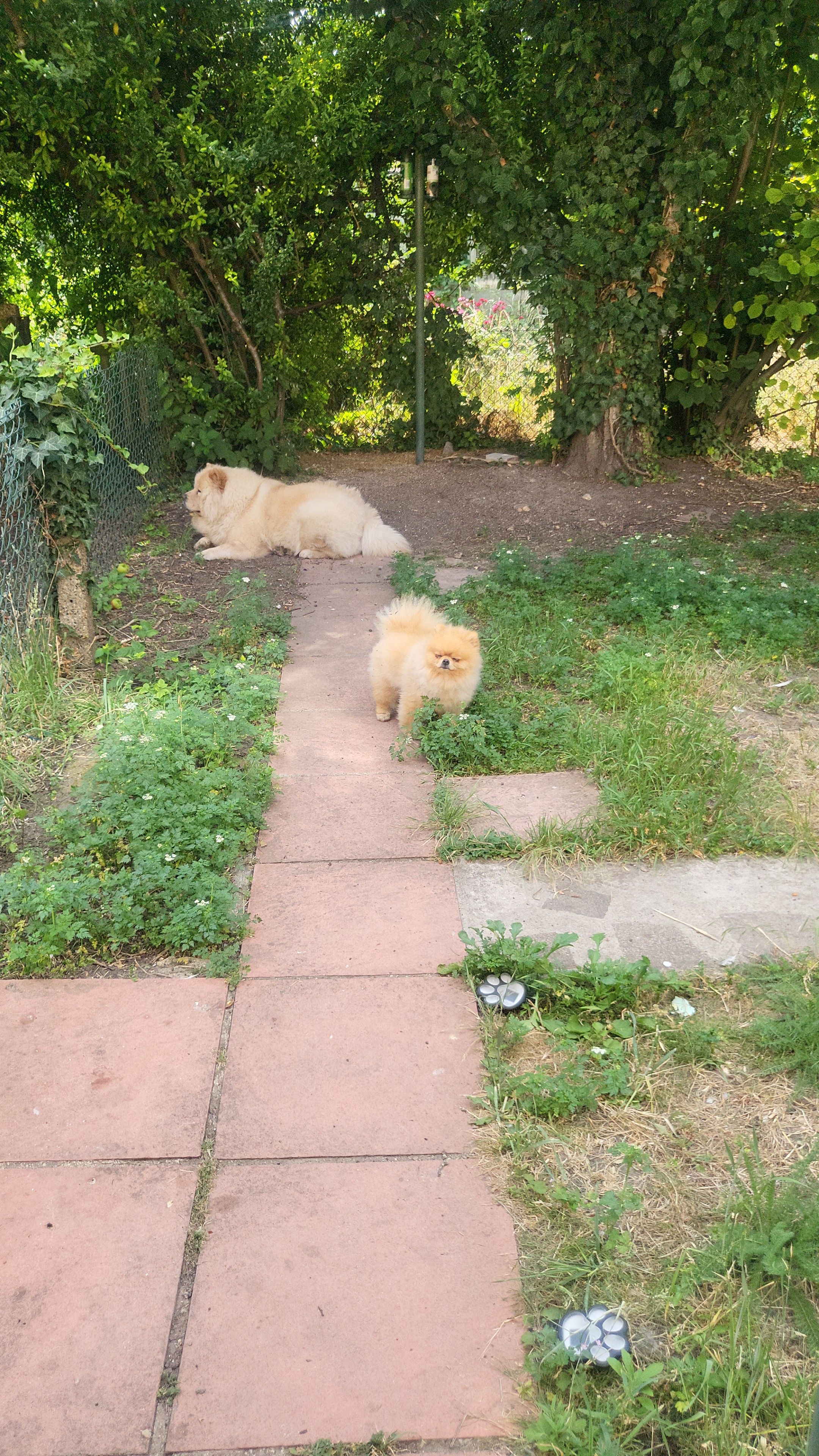image-7