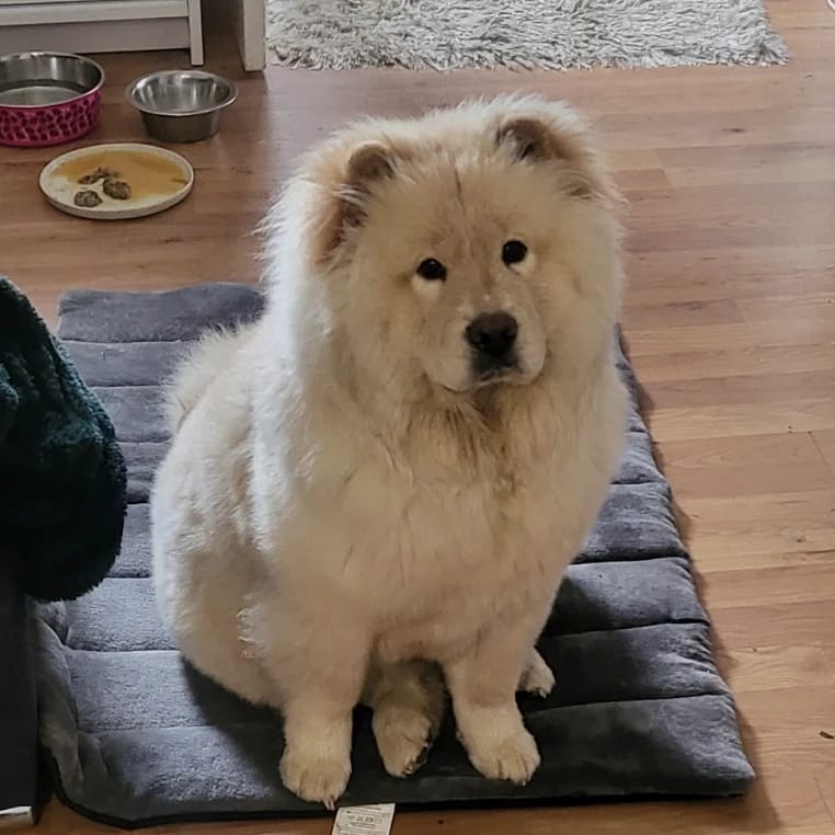 Yiki