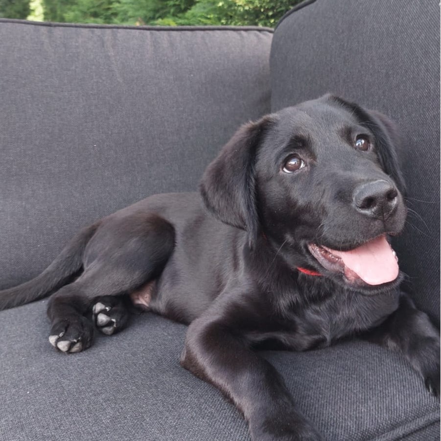 Vix
