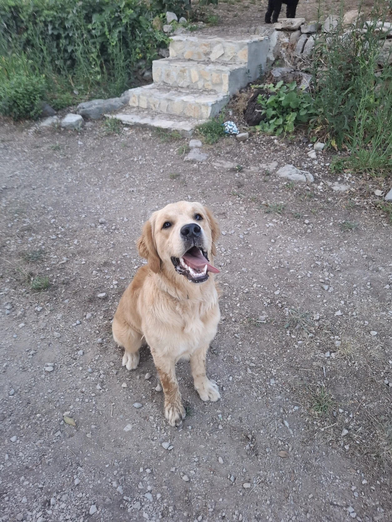 image-27