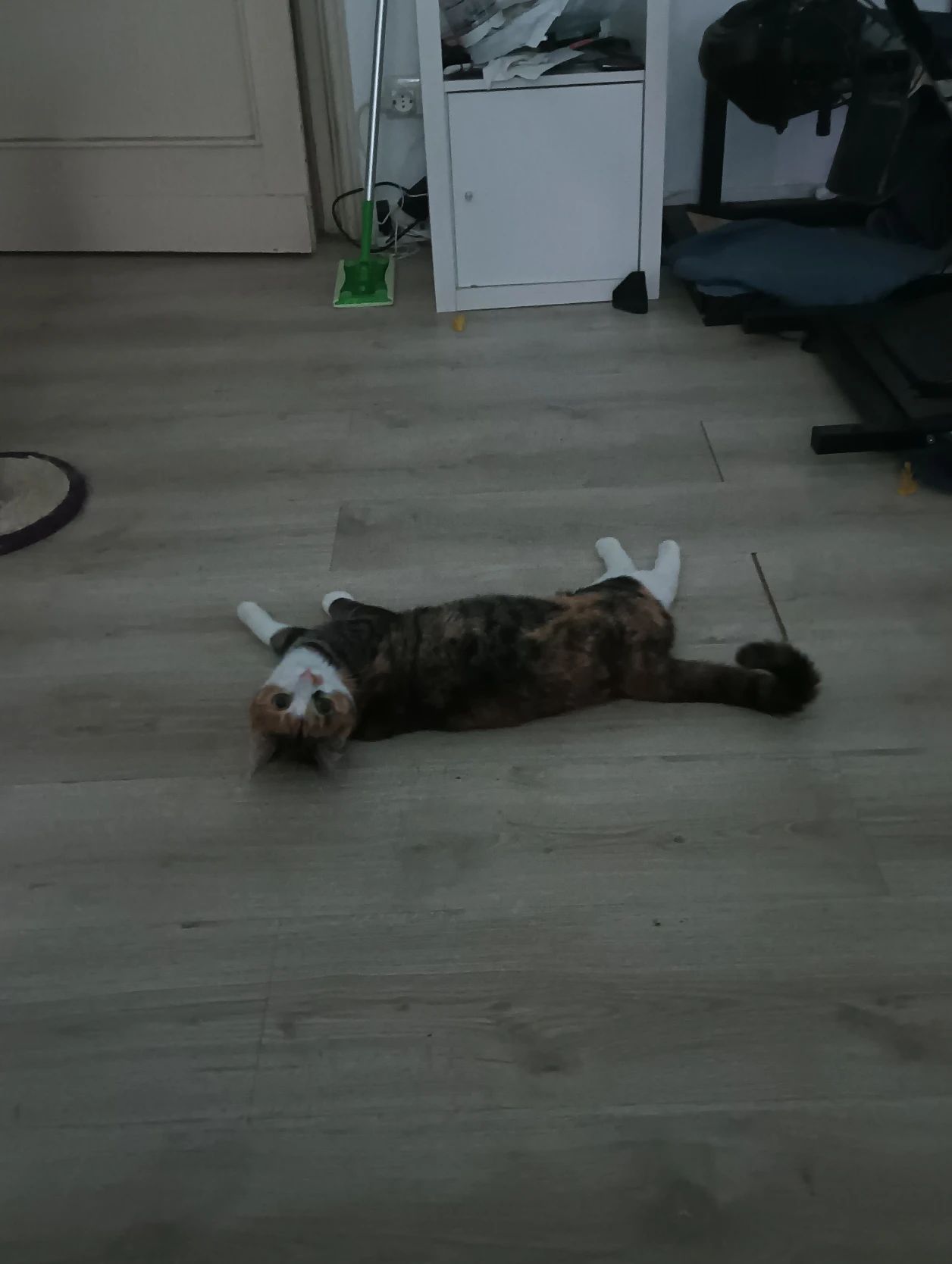 image-14