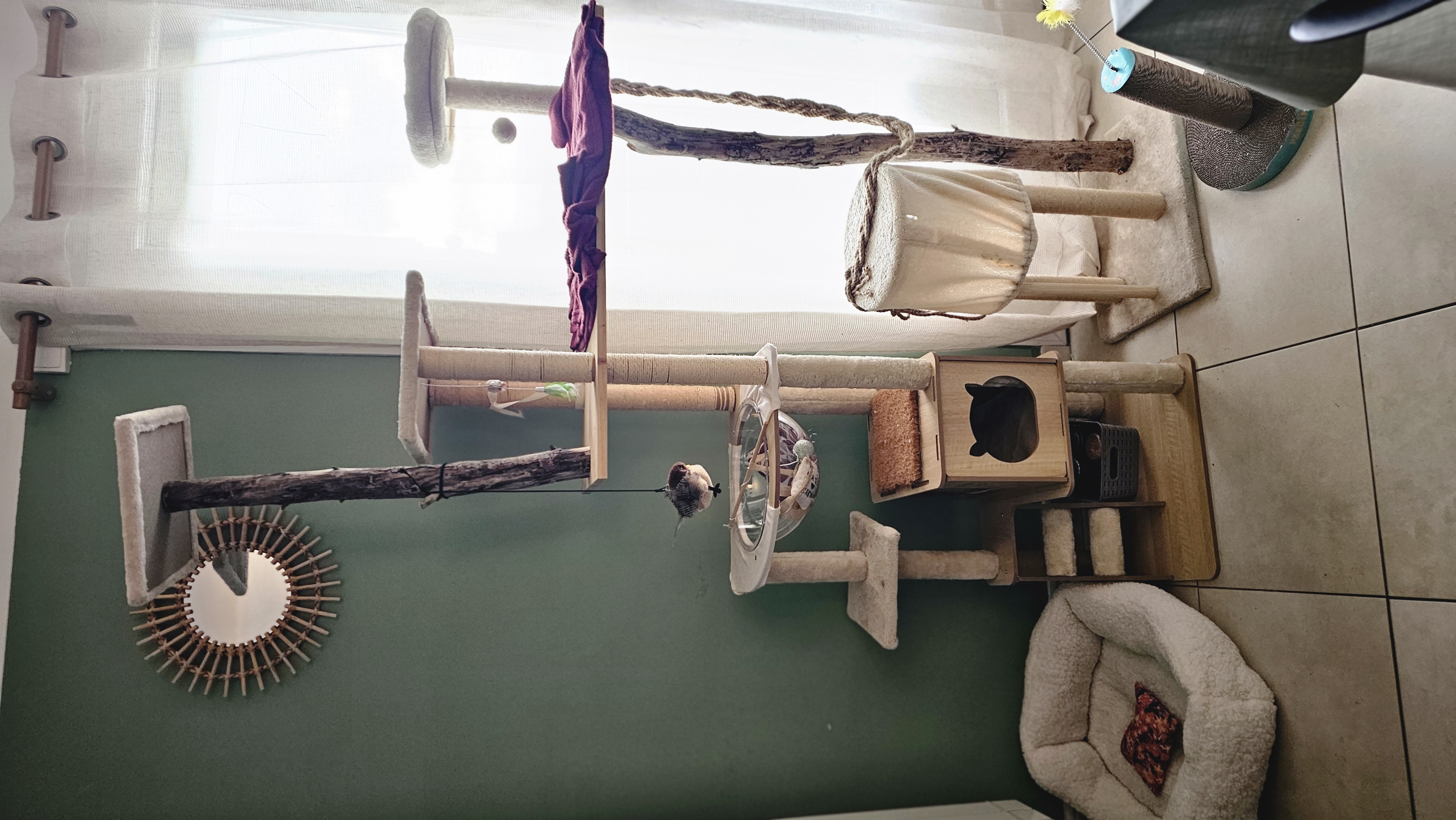 image-10