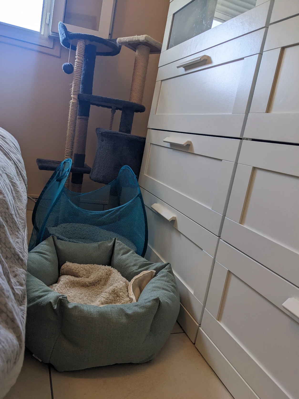 image-14