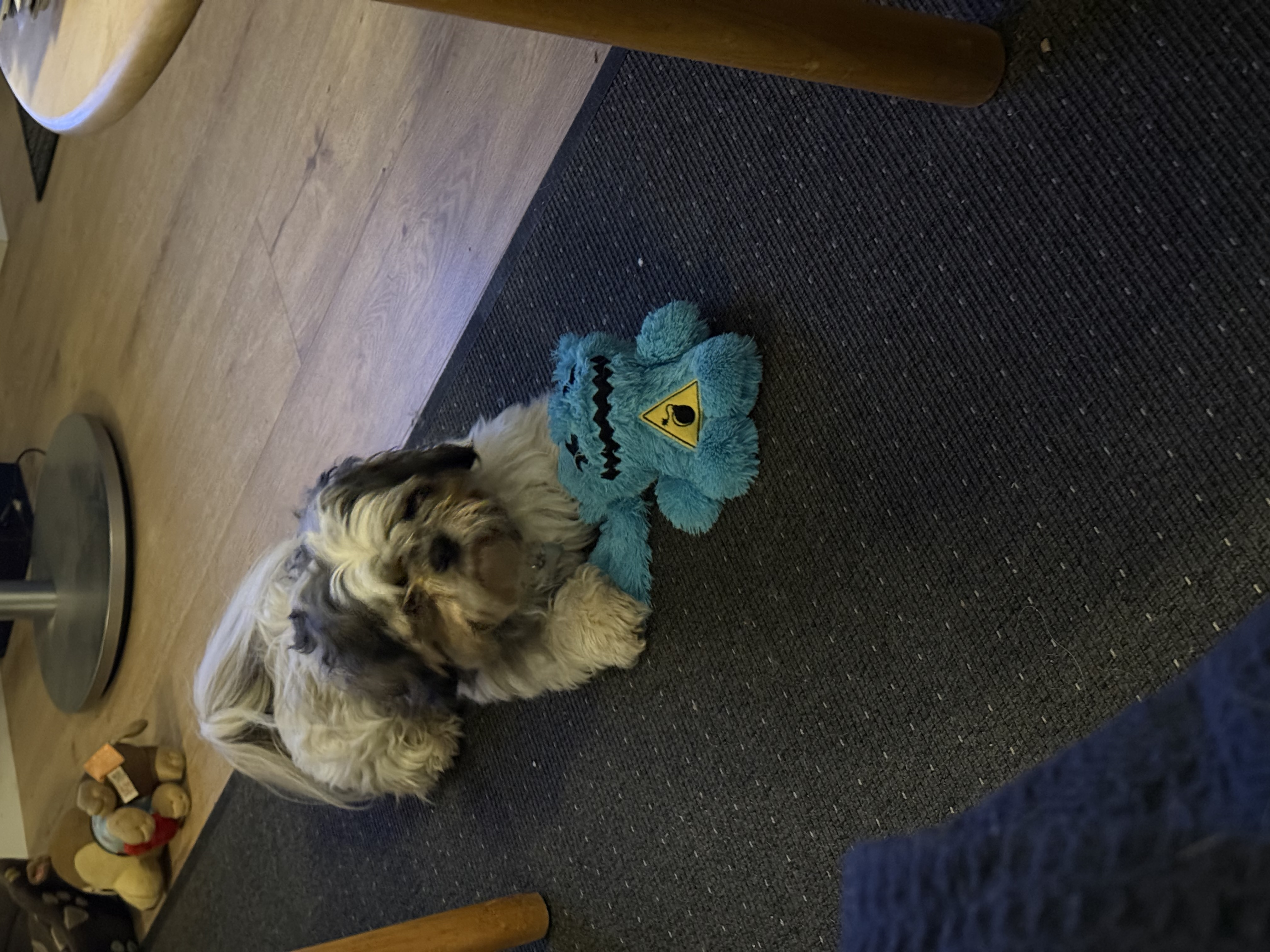 image-12