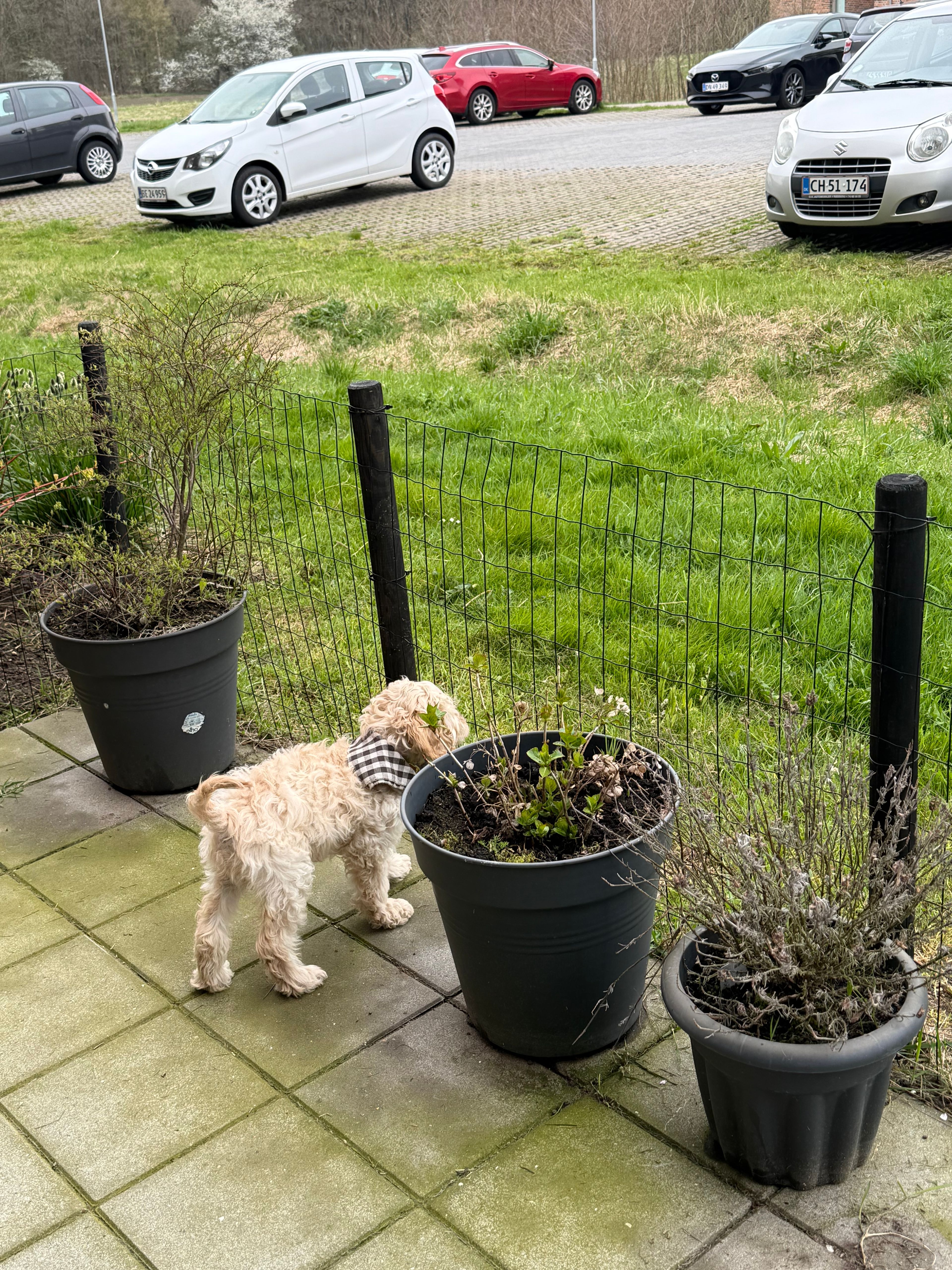 image-13
