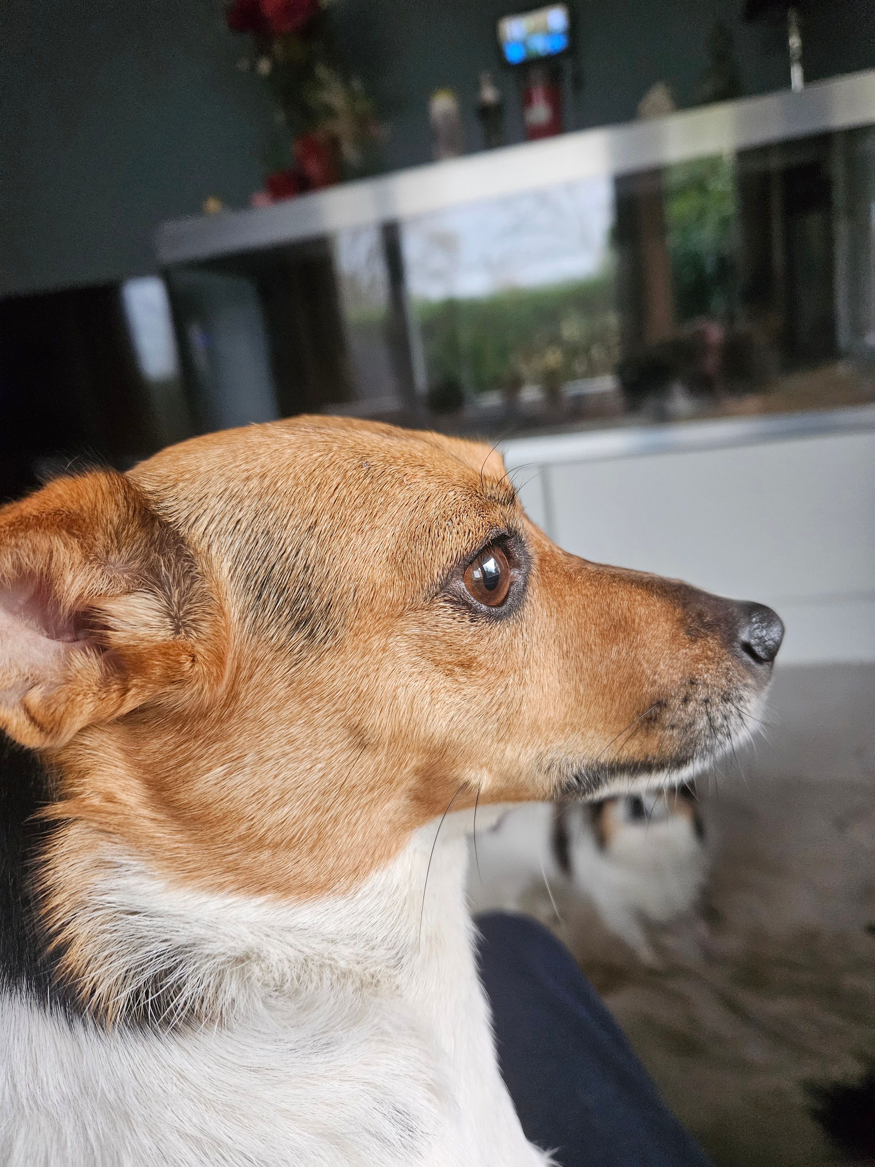 image-37