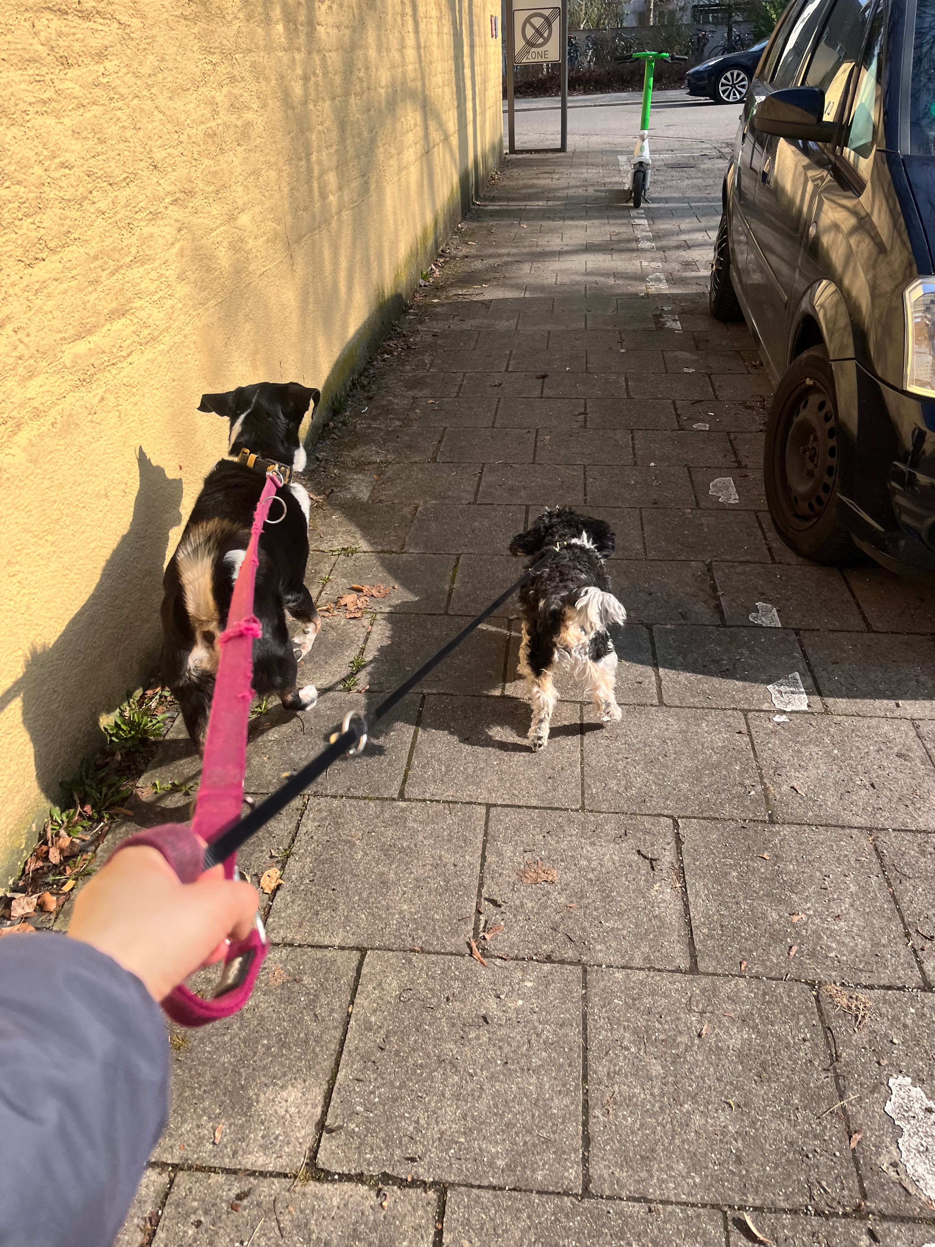 image-16