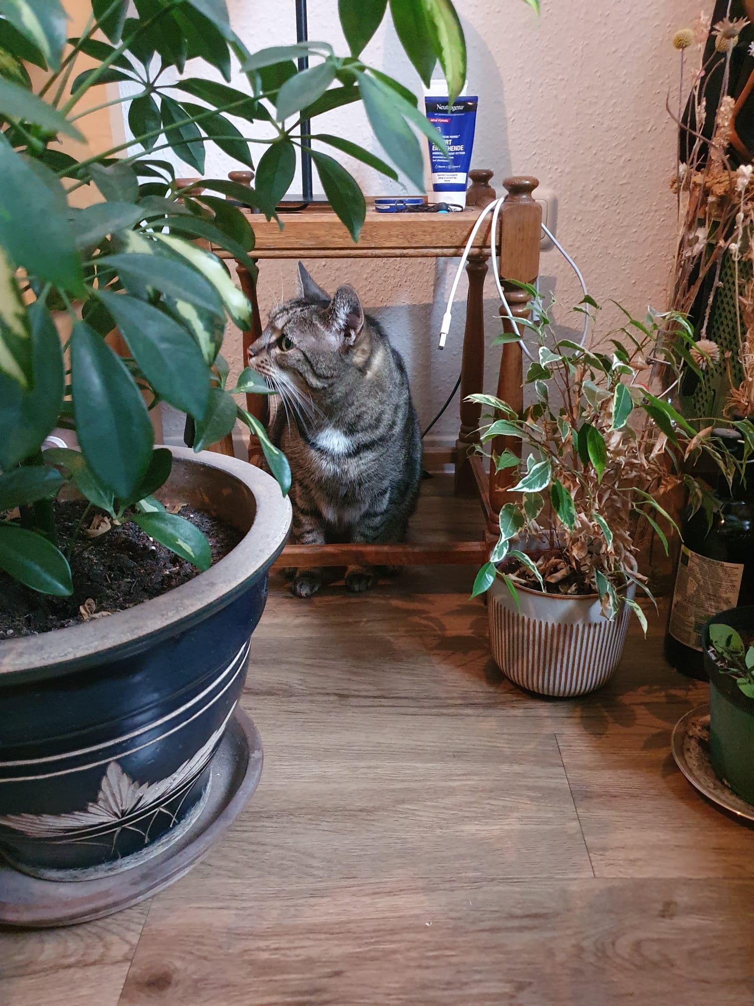 image-5