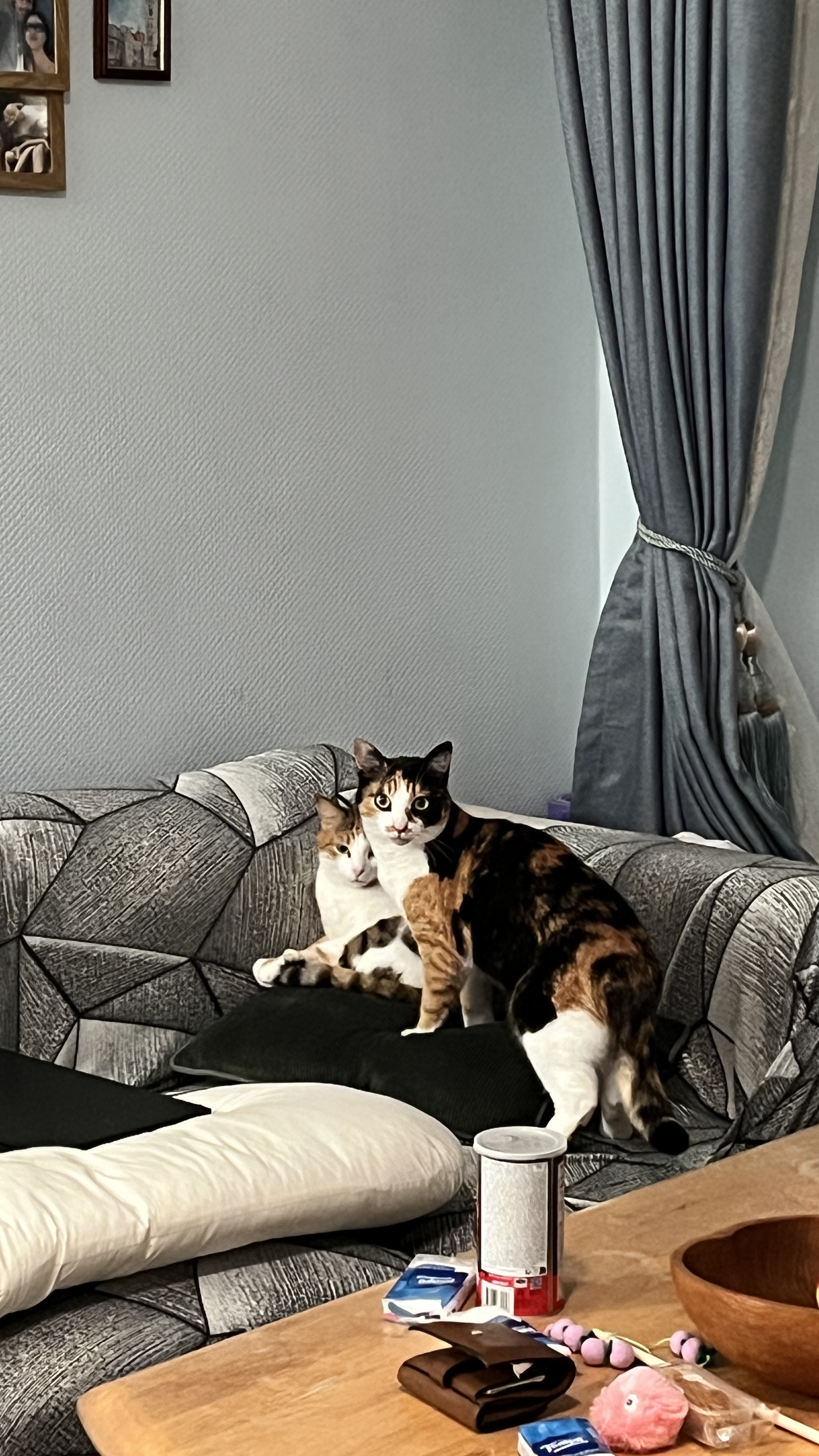 image-14
