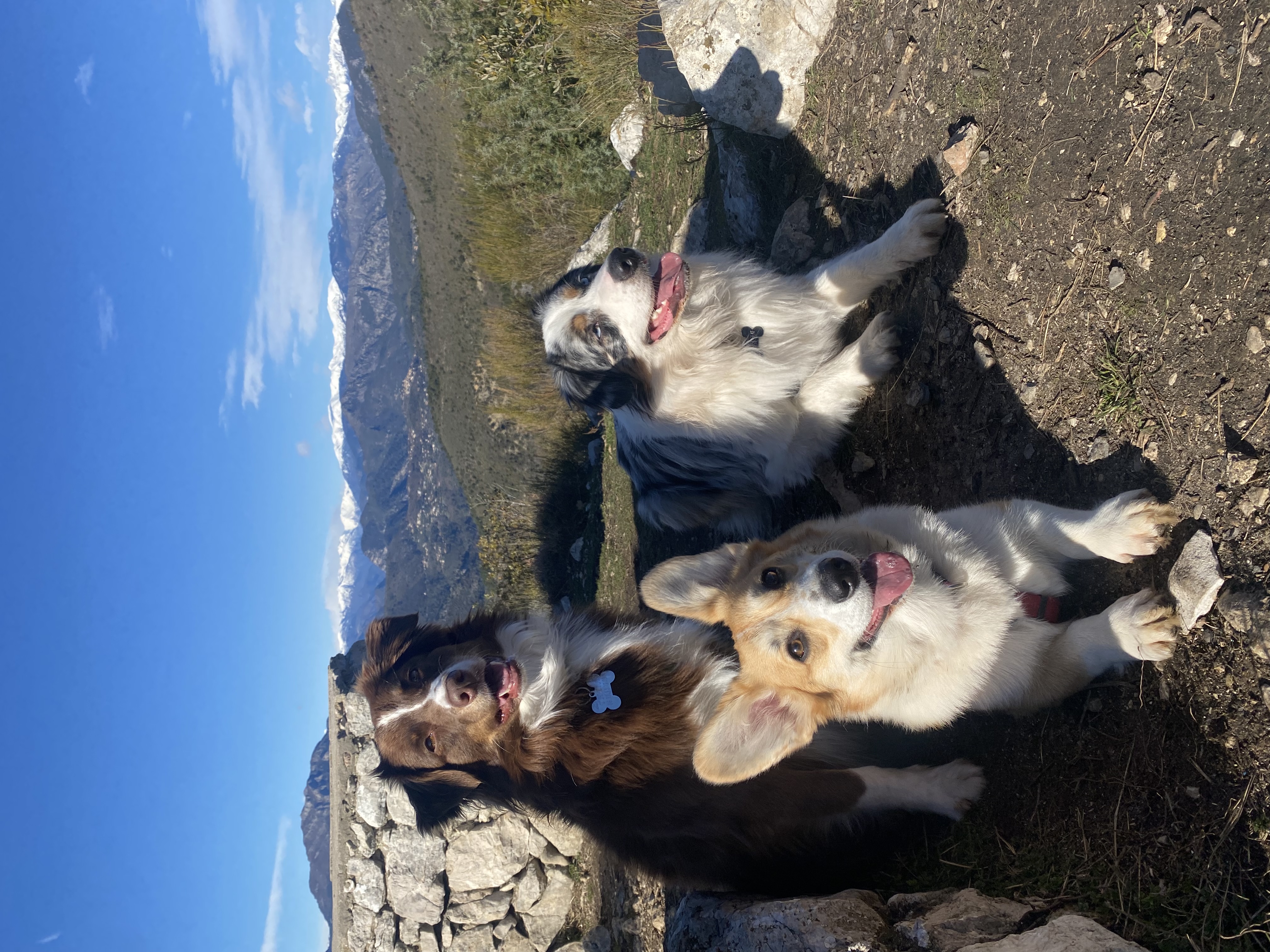 image-5
