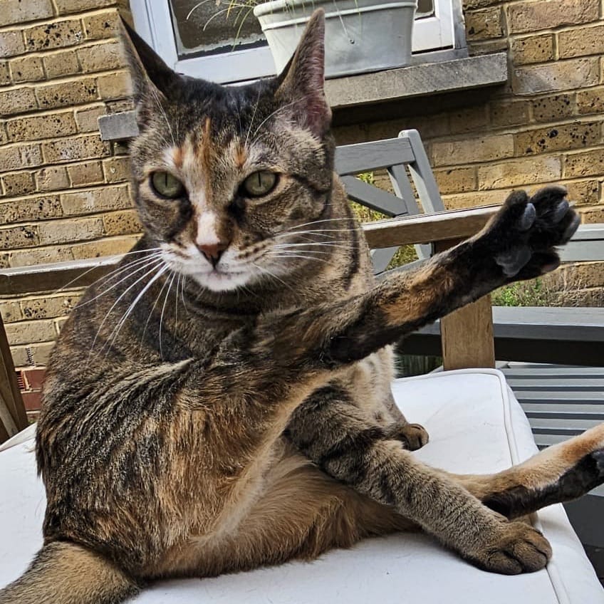 Gertrude