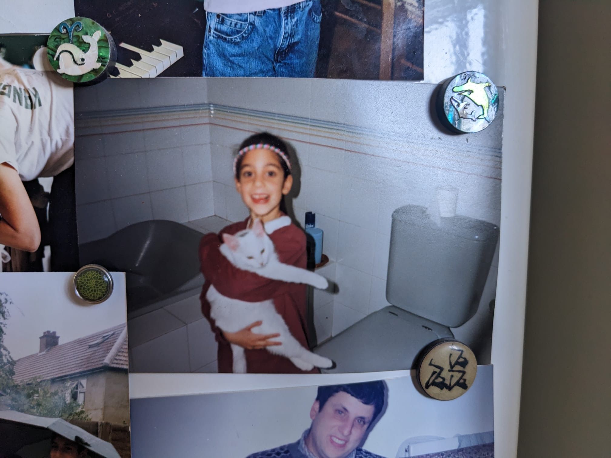 image-6
