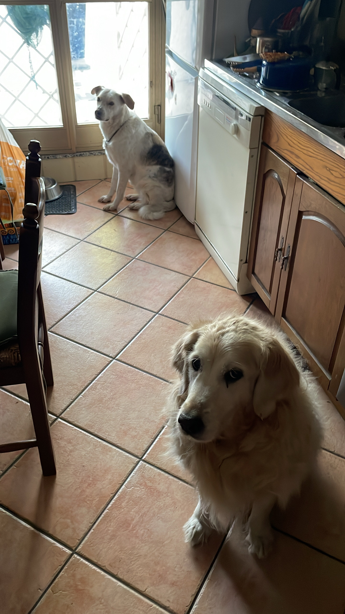 image-33