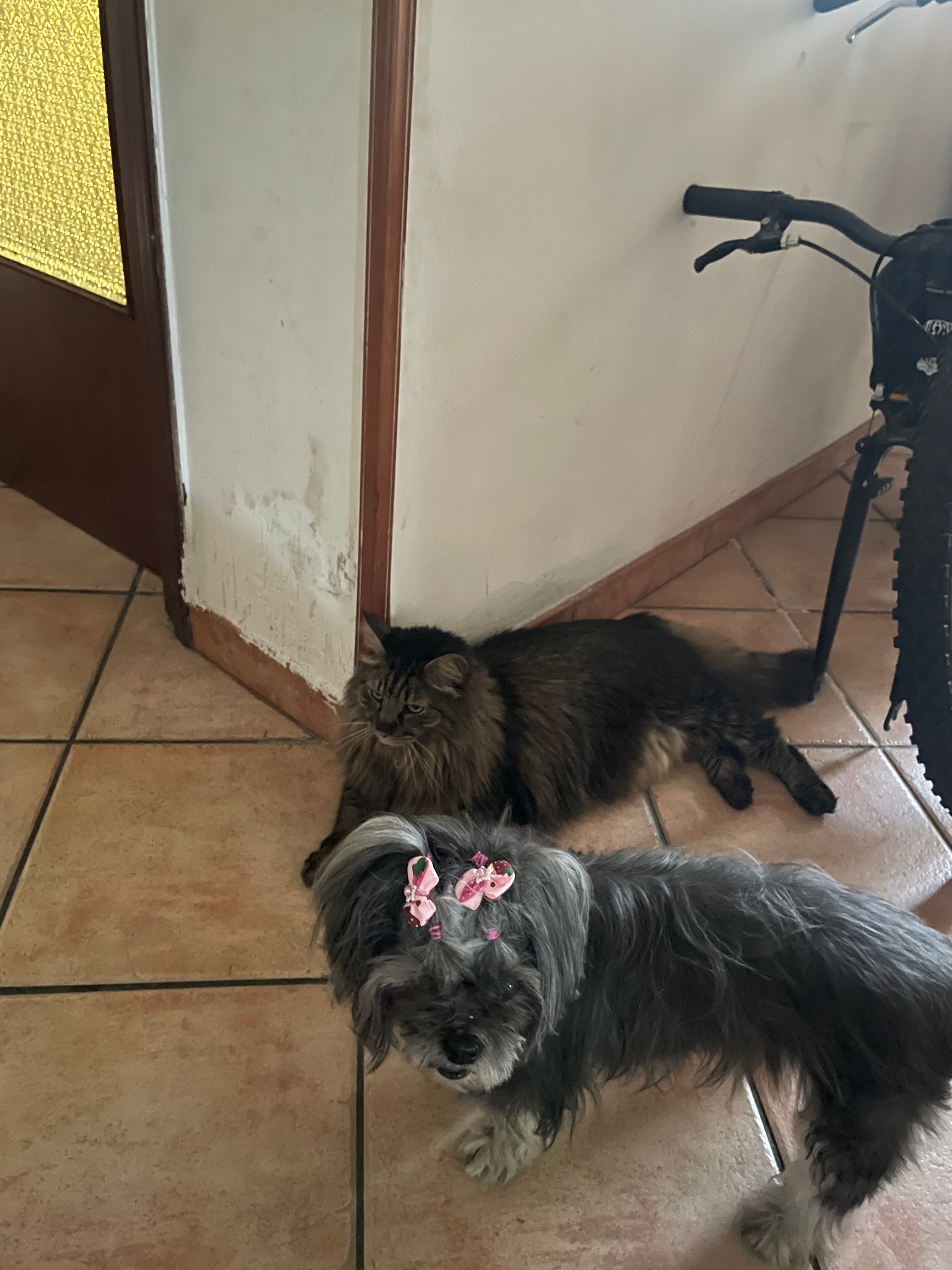 image-19