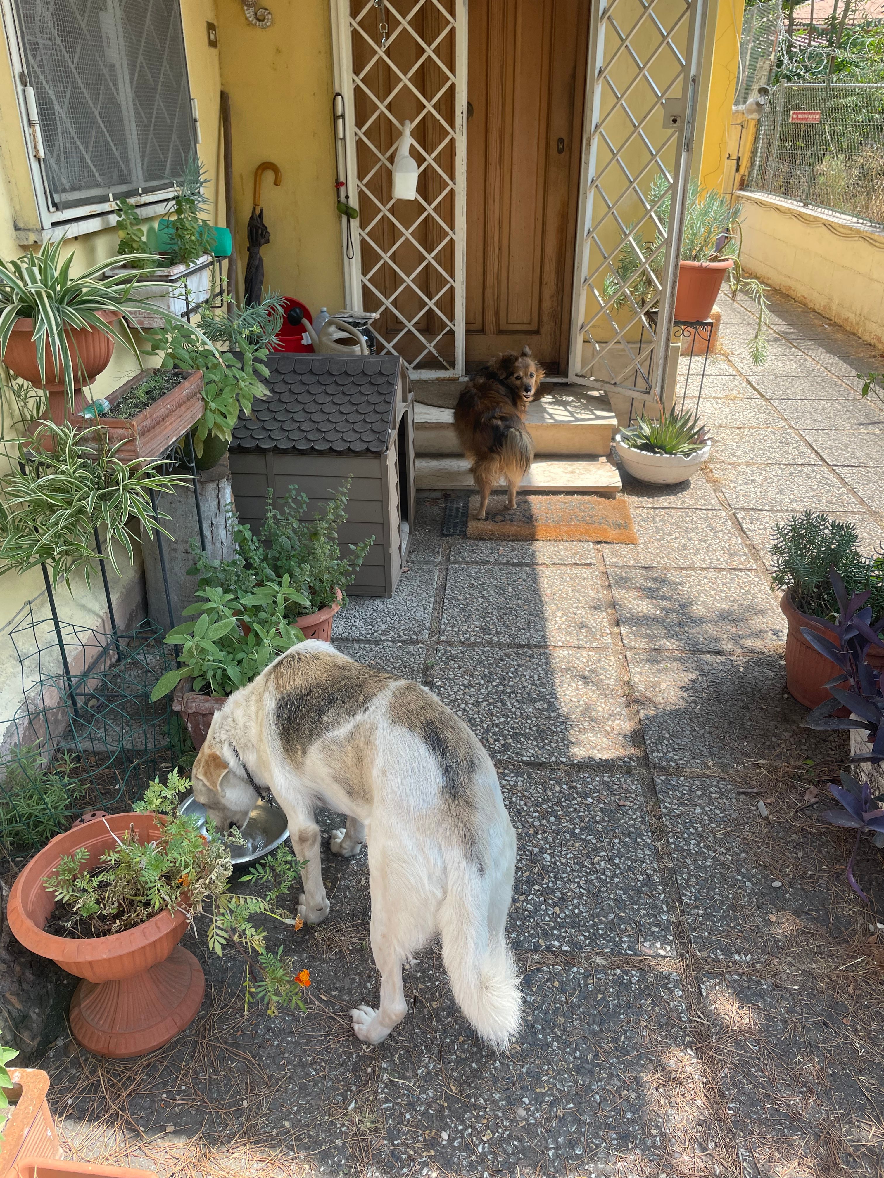image-27