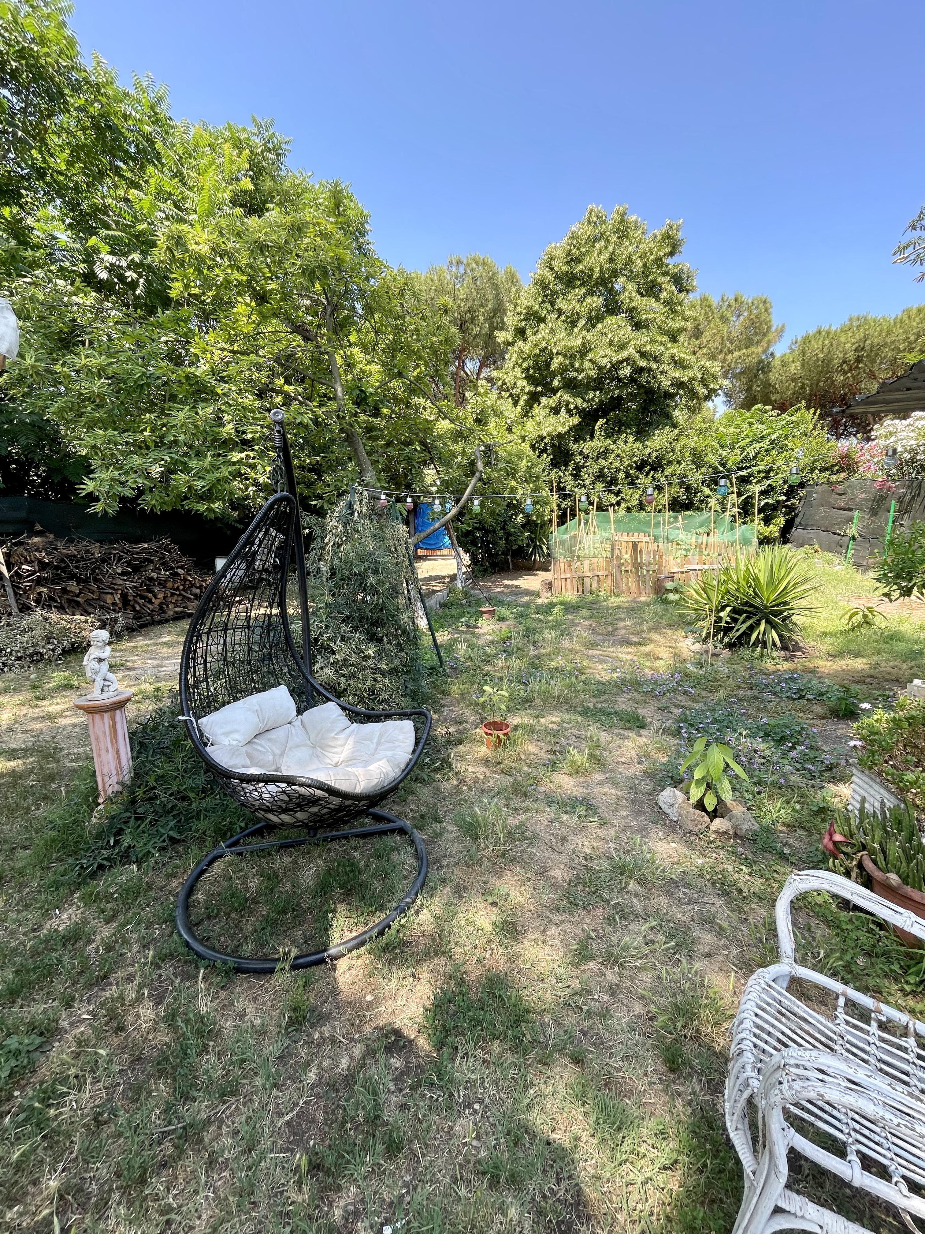 image-25