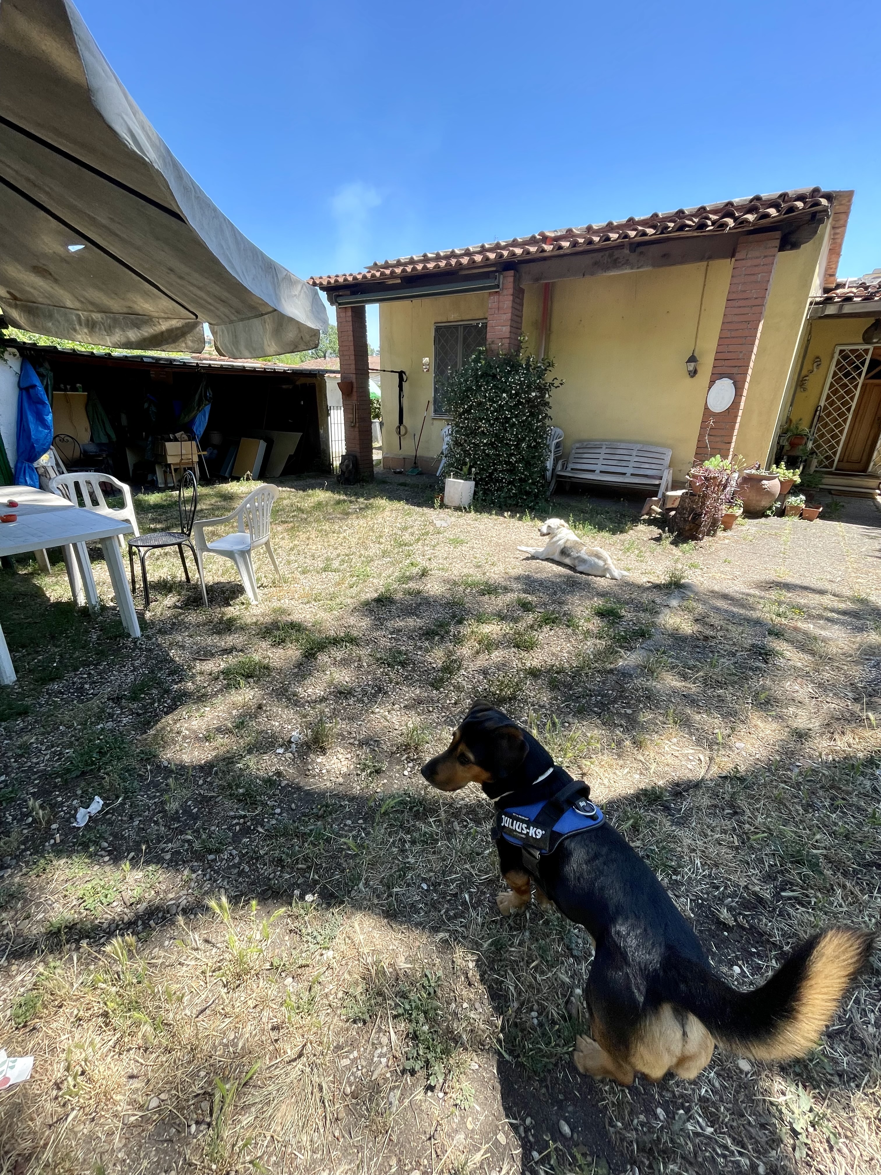 image-10
