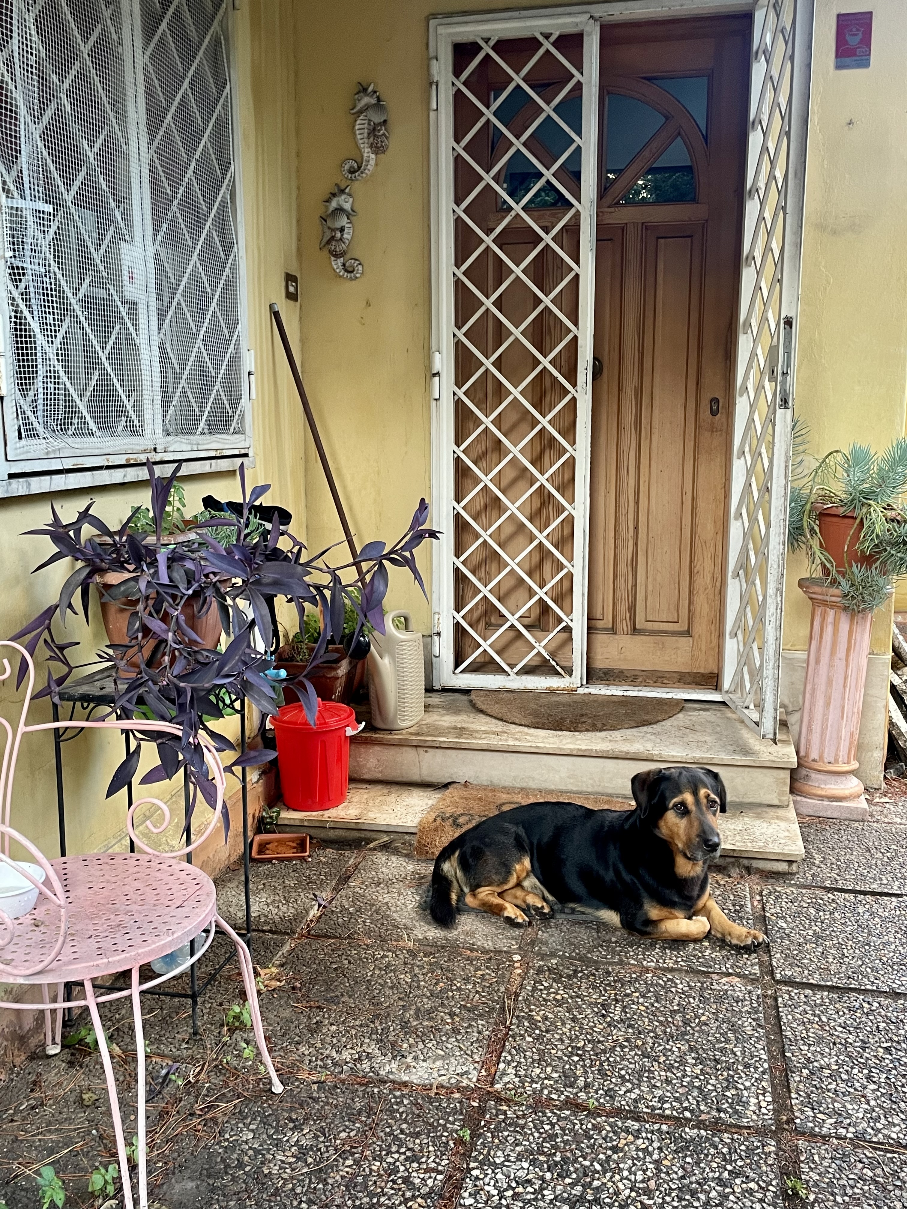 image-29