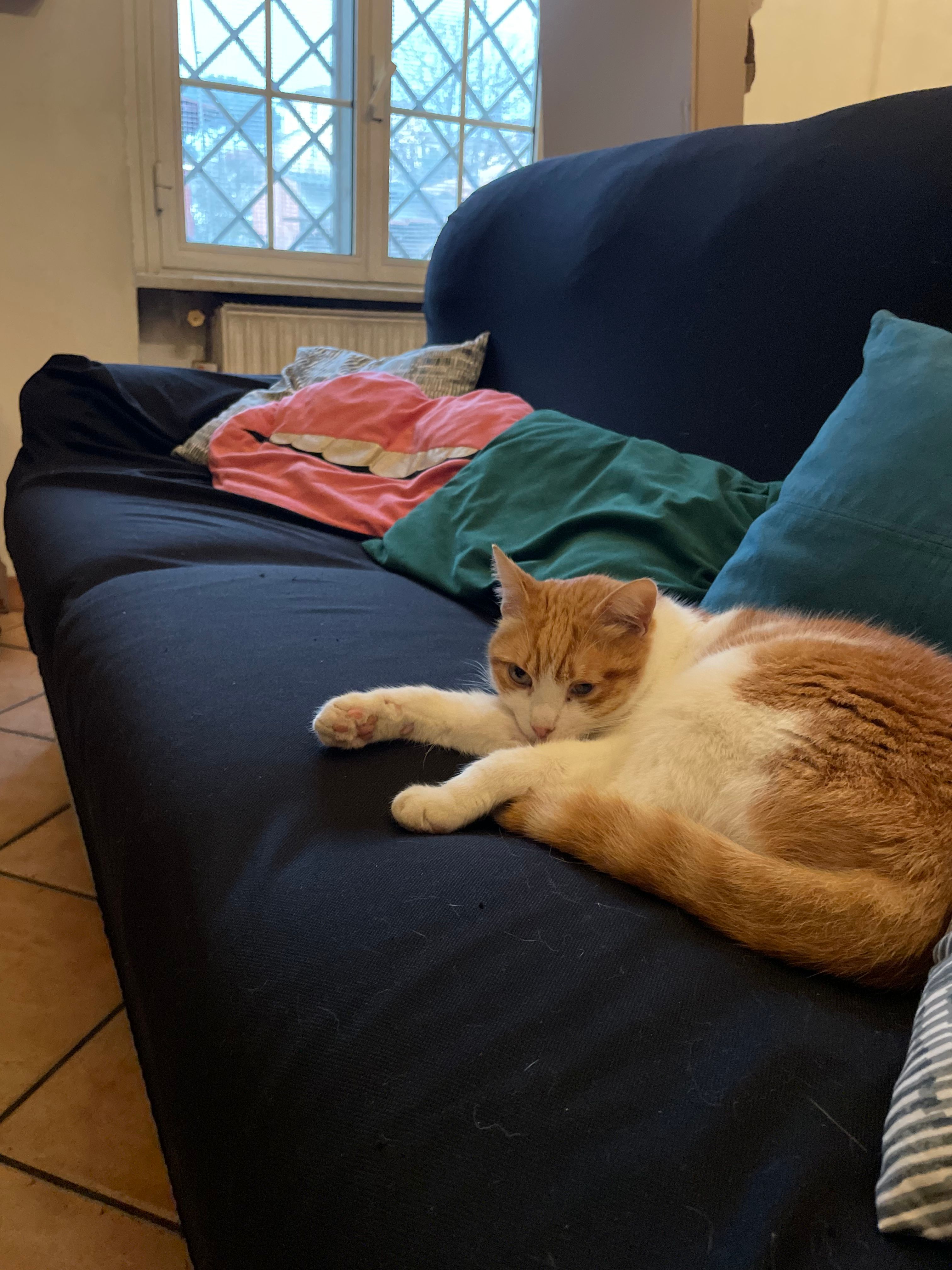image-38