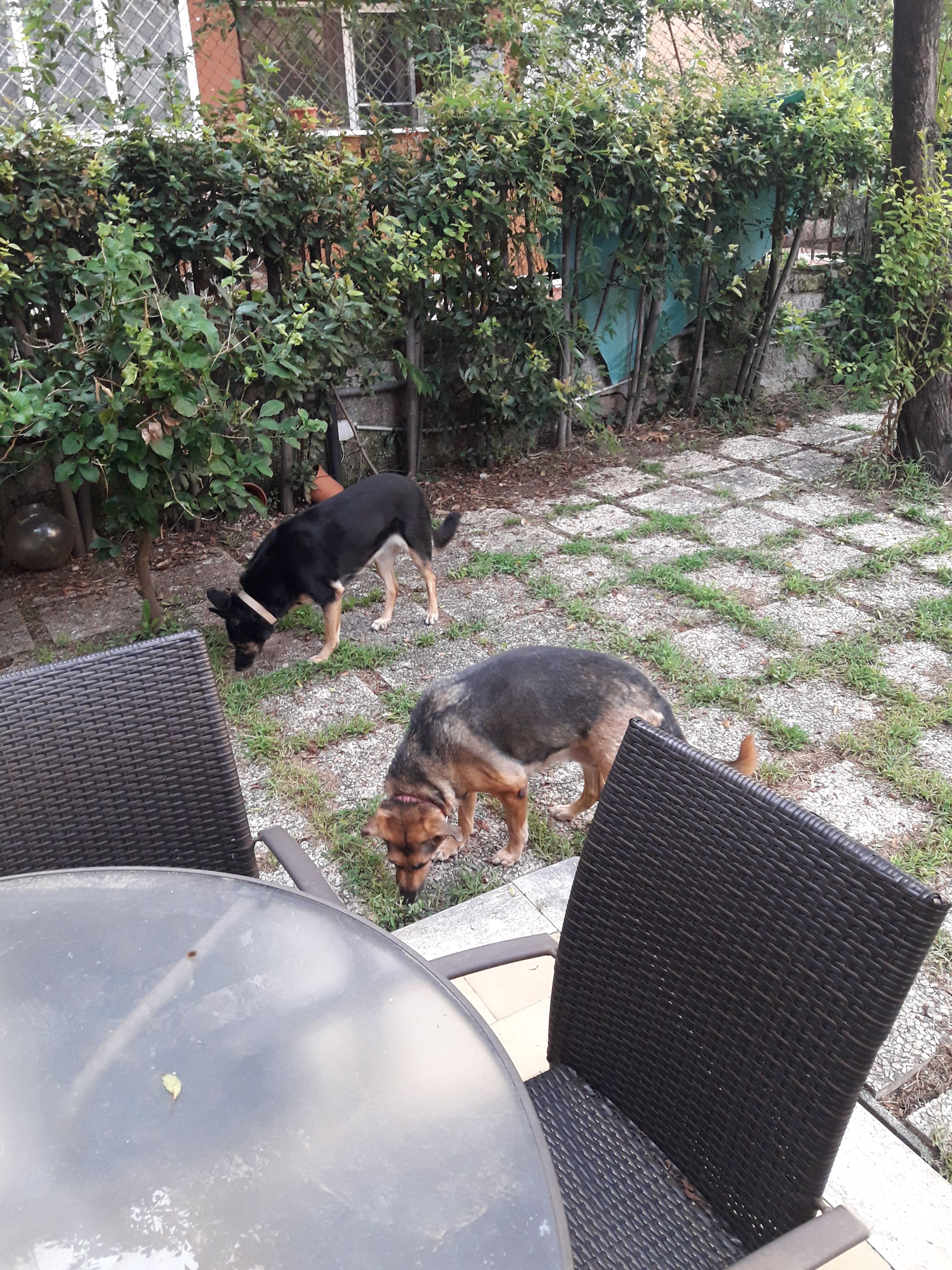 image-16