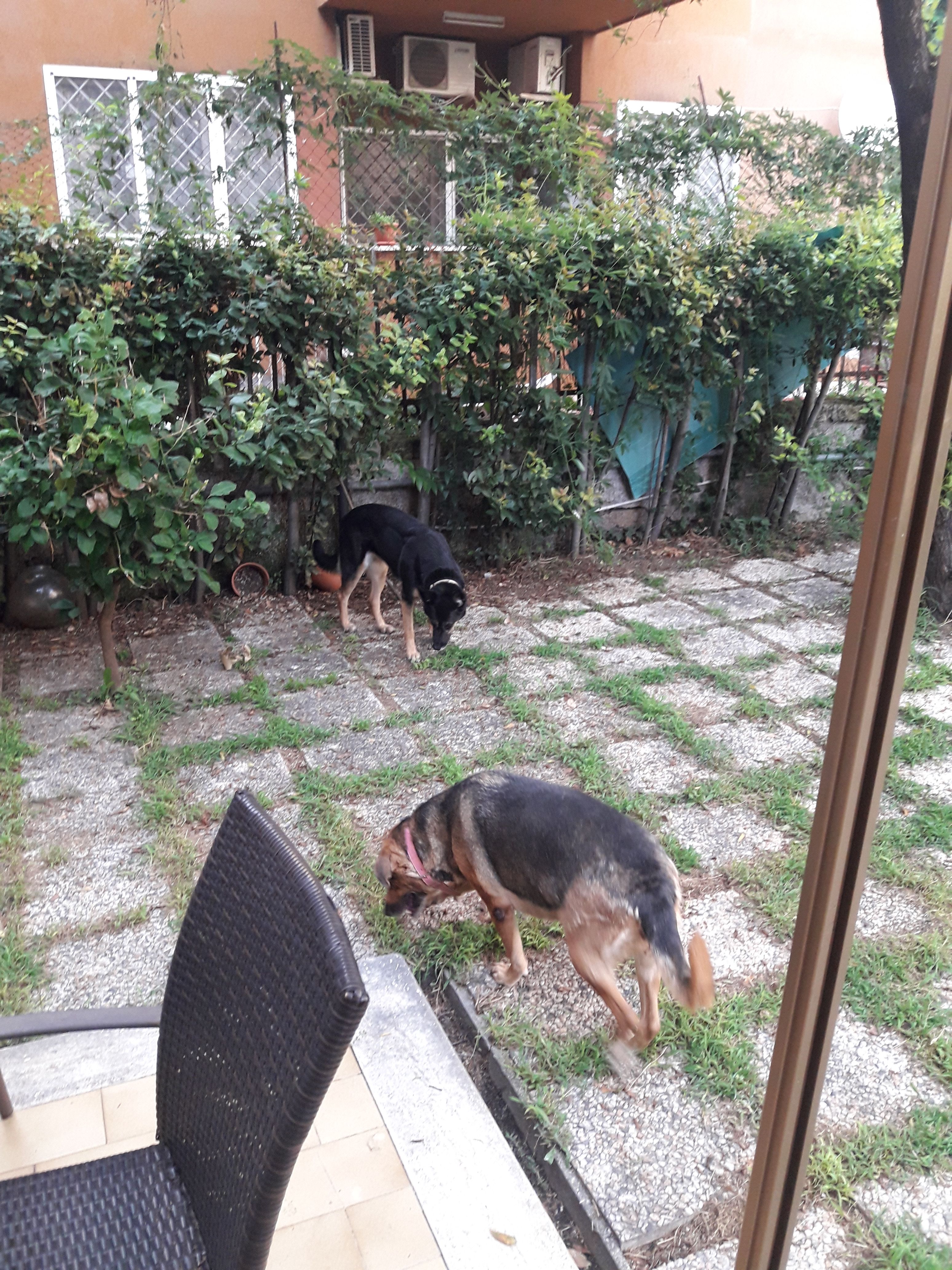 image-17