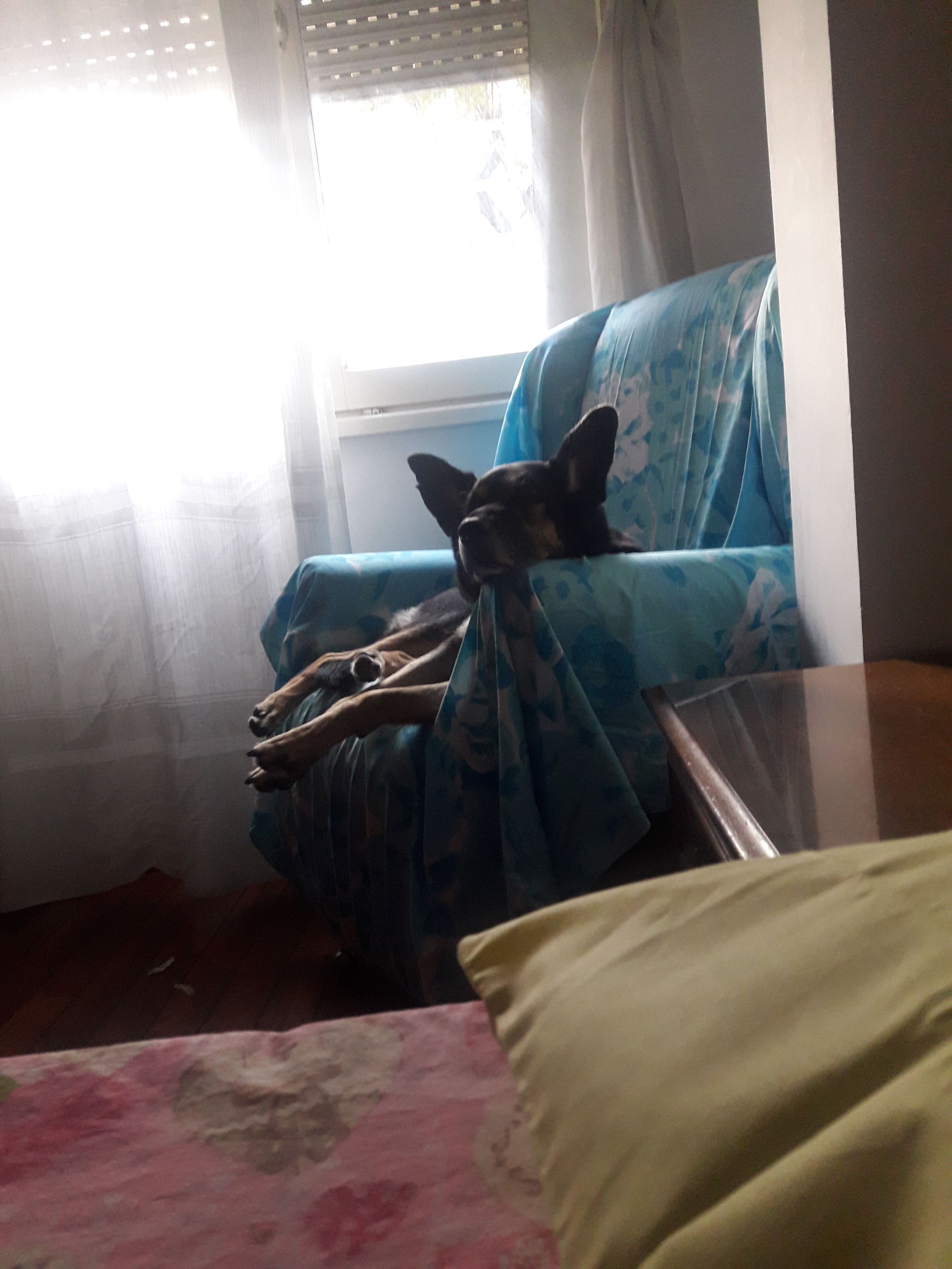 image-19