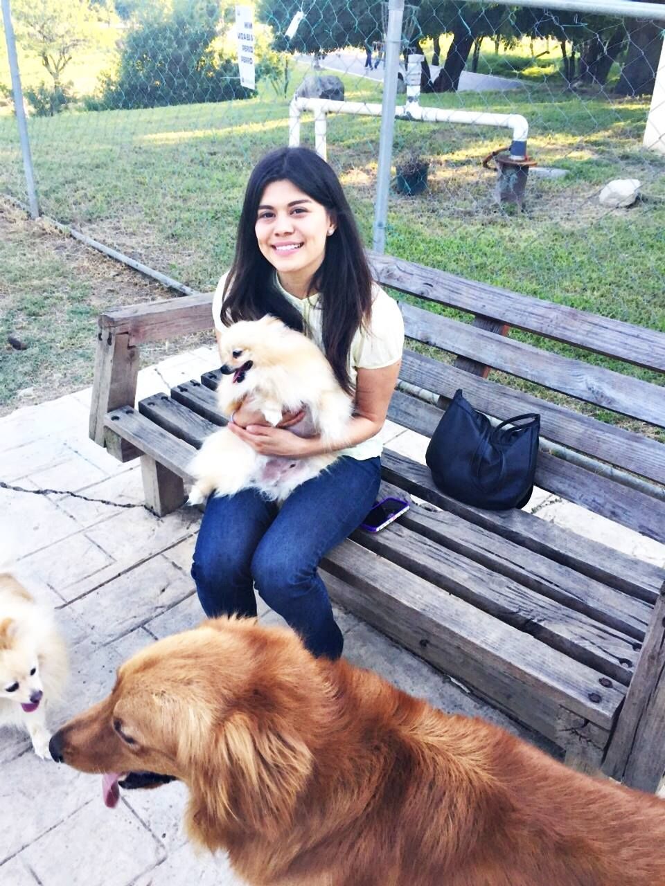 image-3