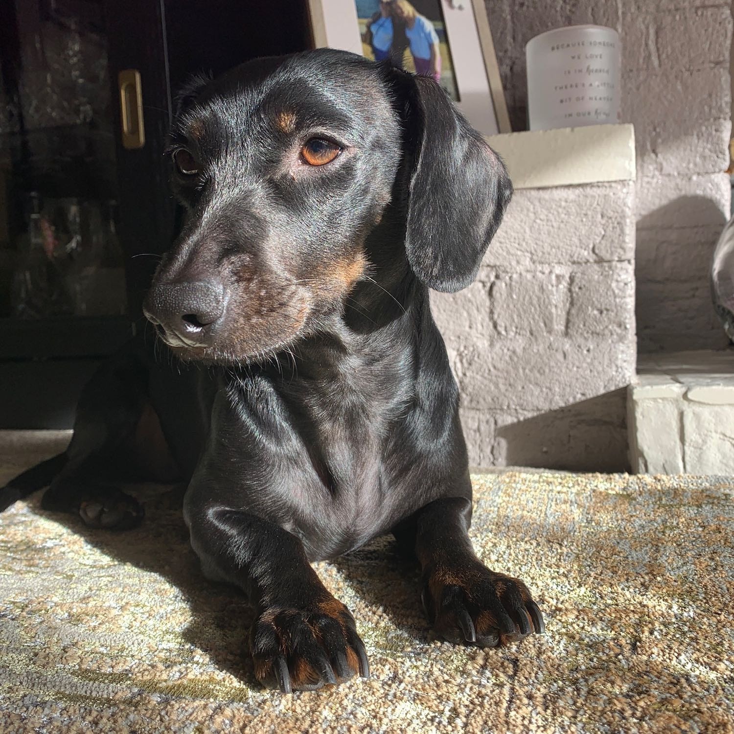 Lottie