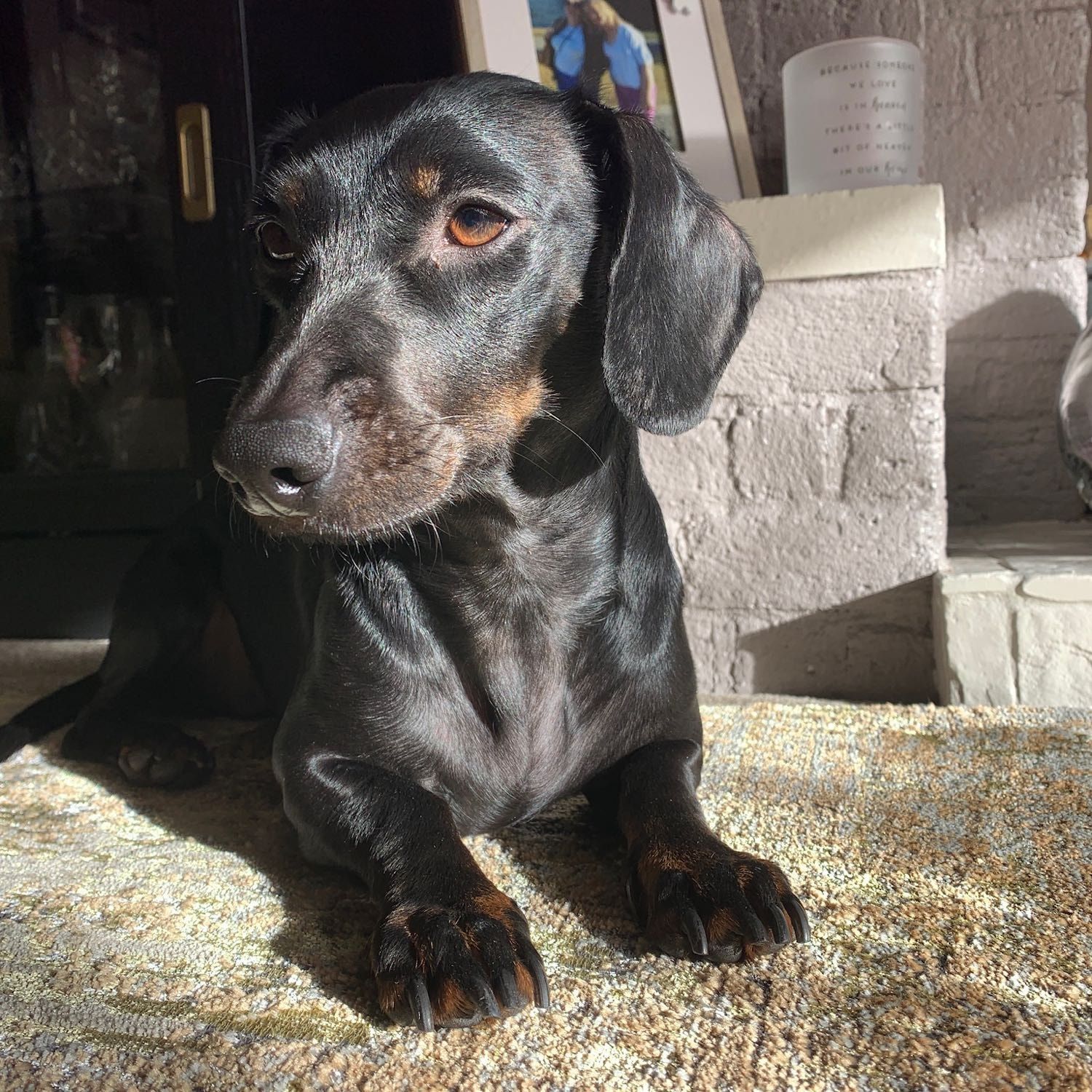 Lottie