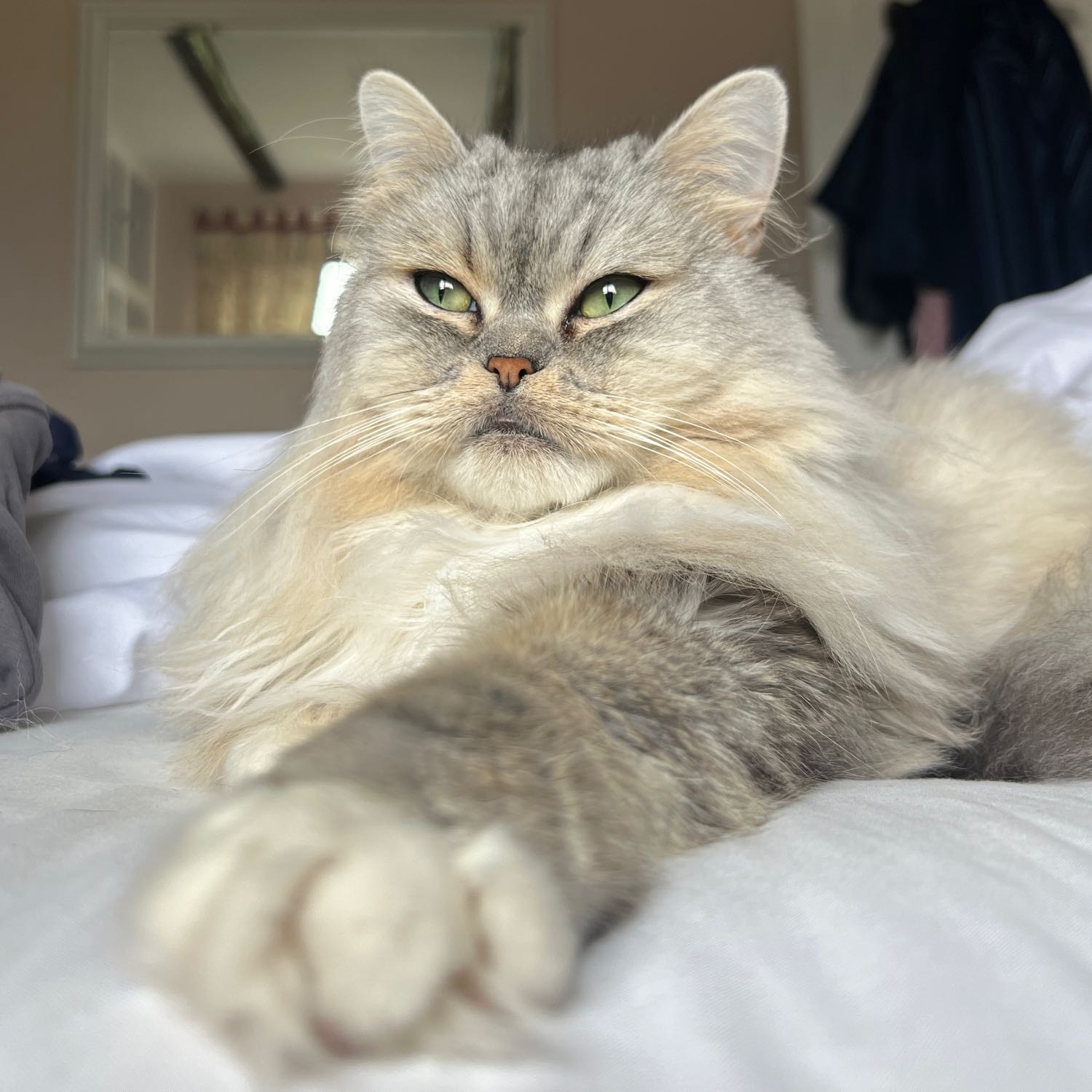 mitzy 