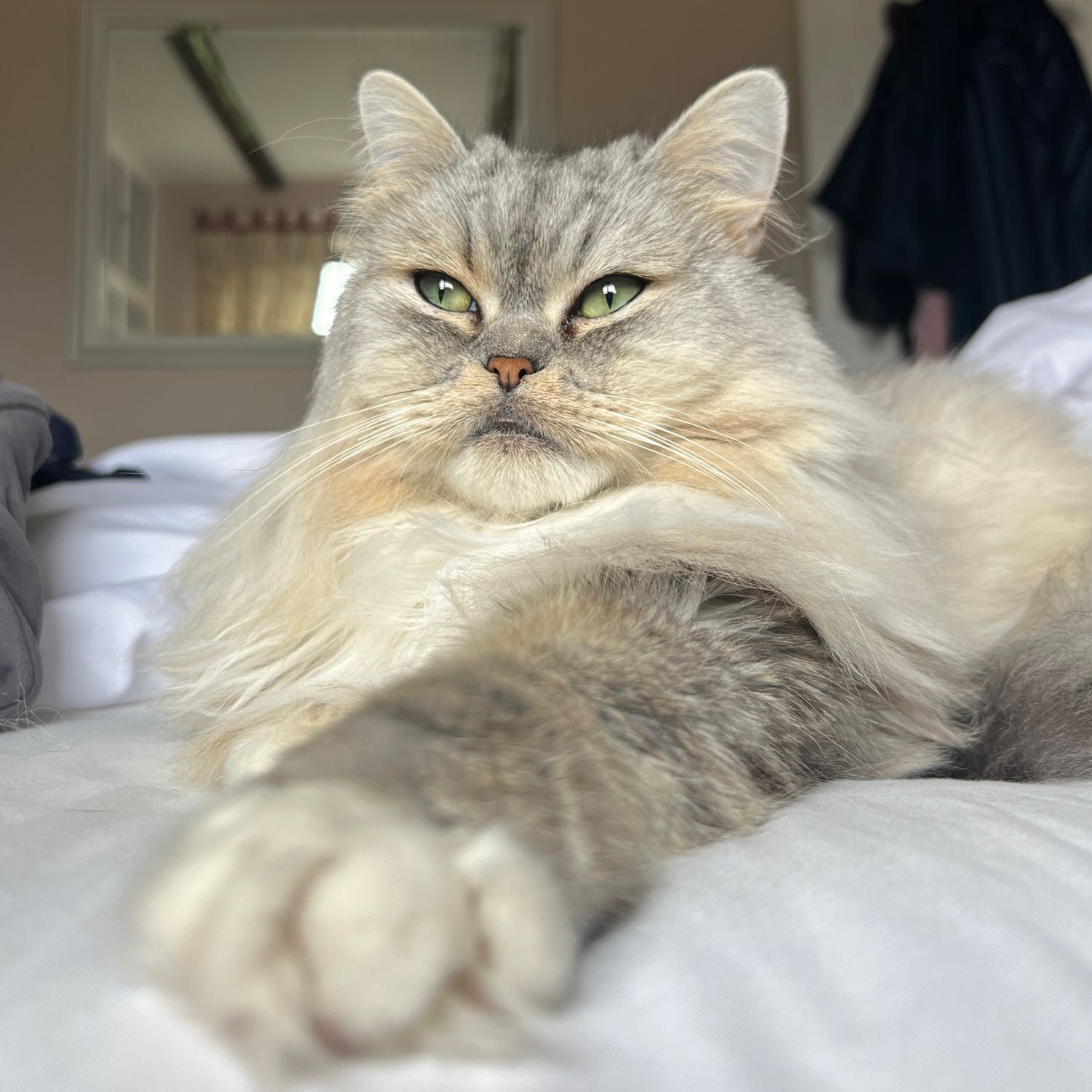 mitzy