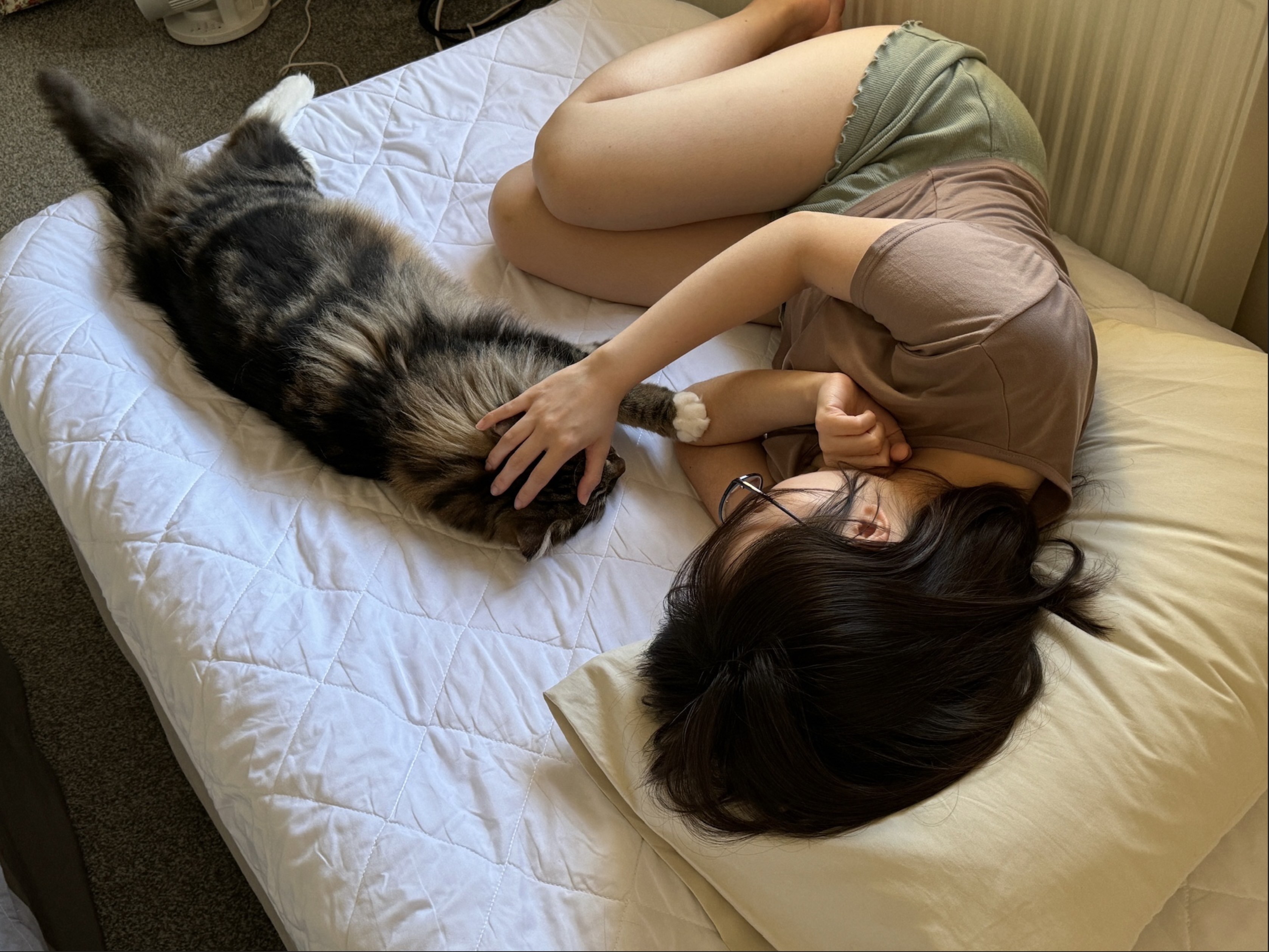 image-3