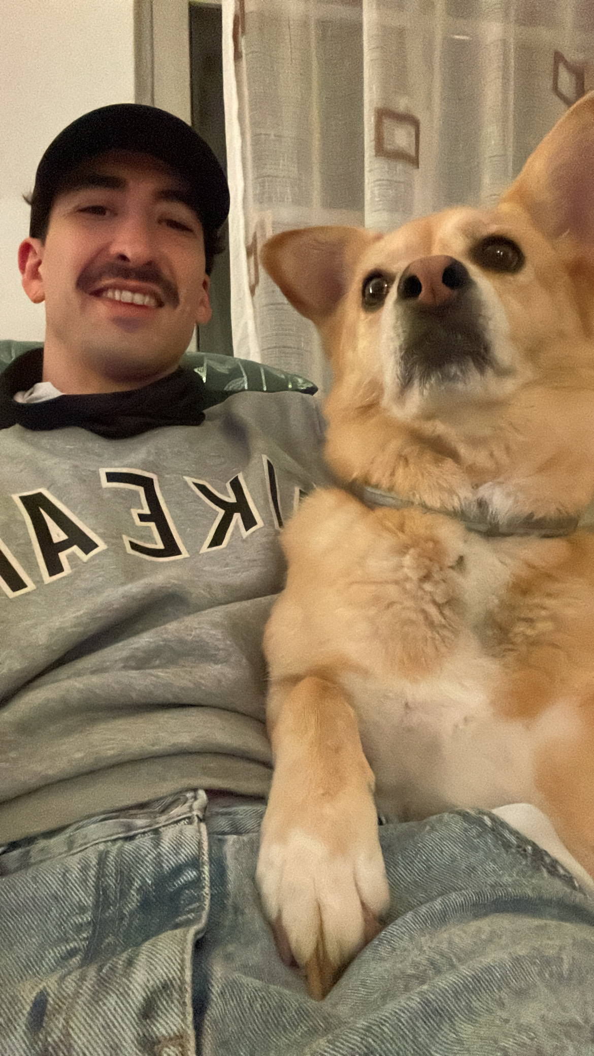 image-8