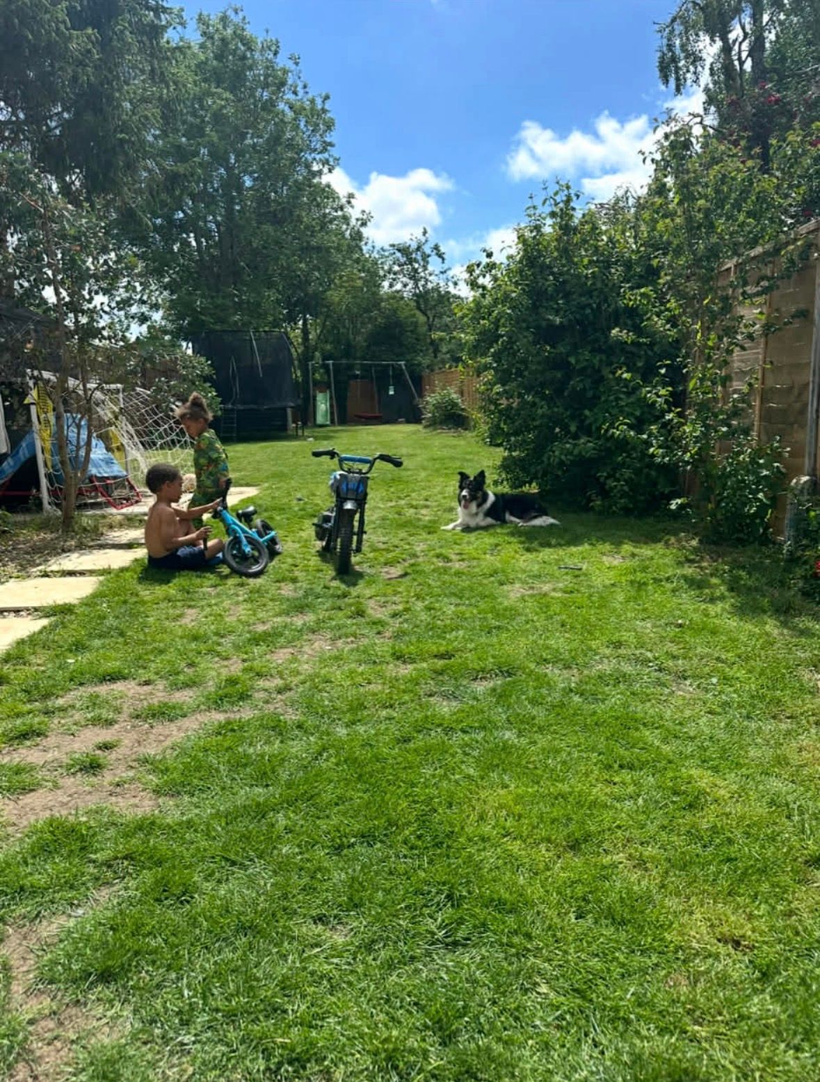 image-5