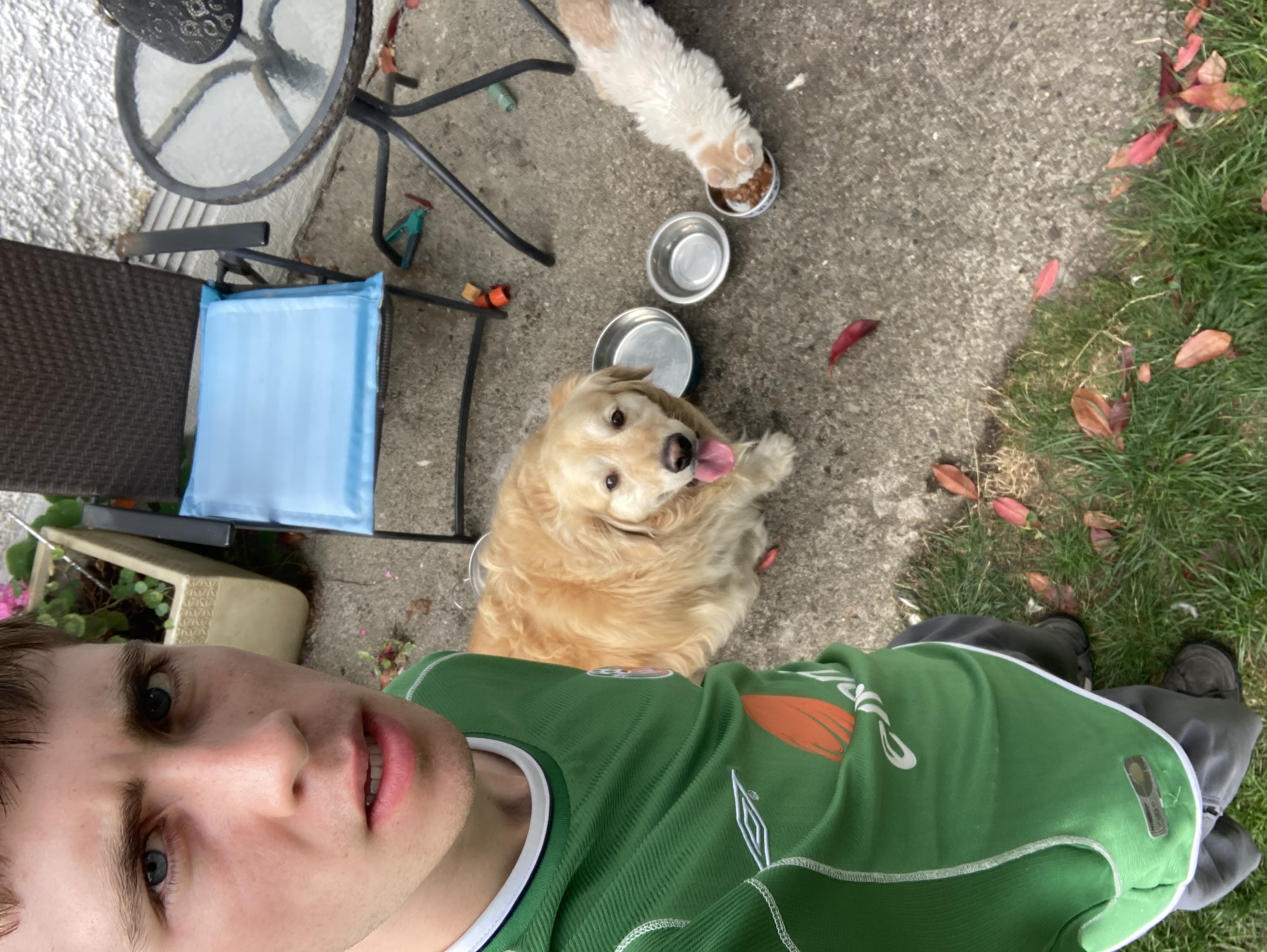 image-6