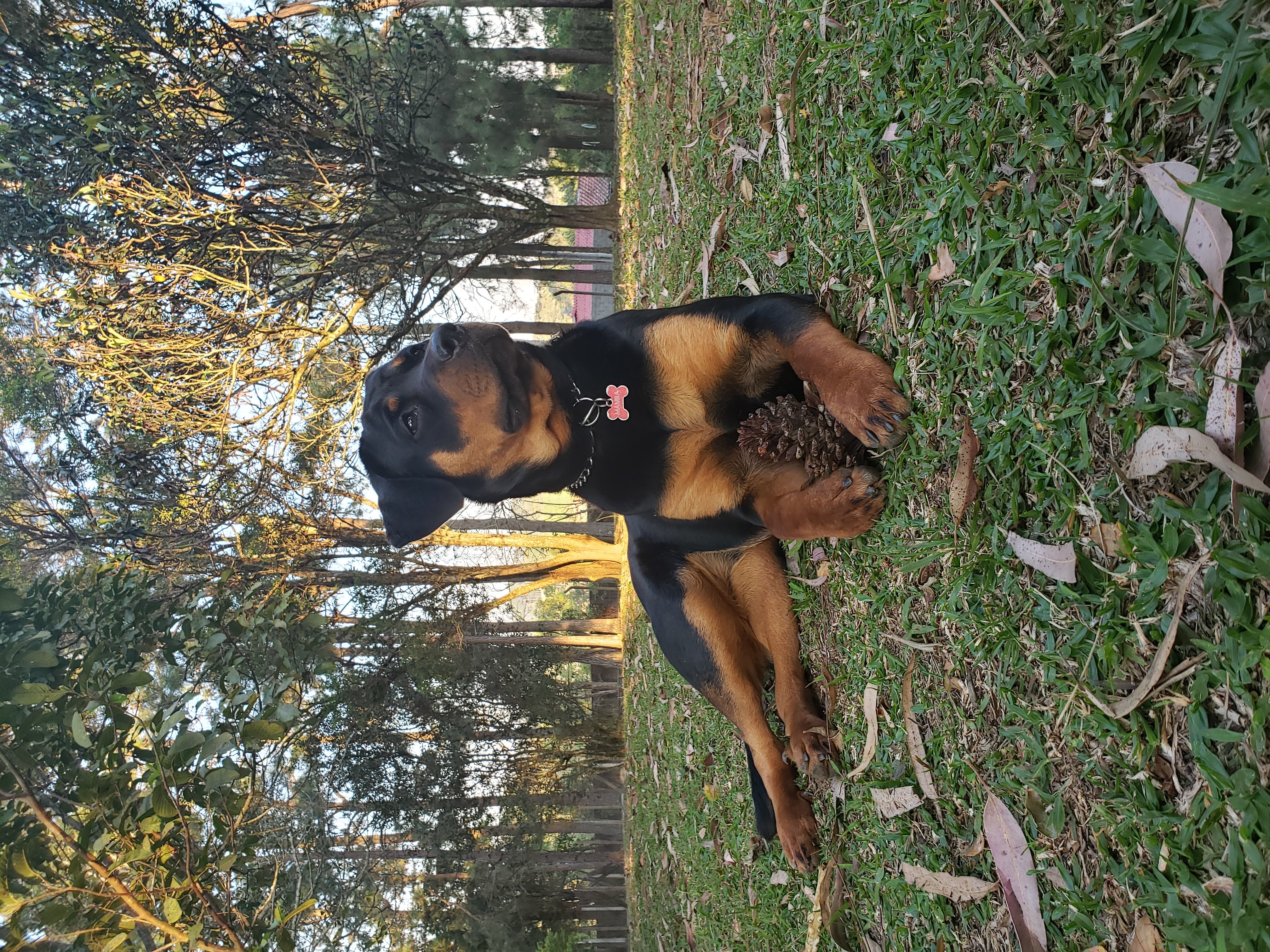 image-15