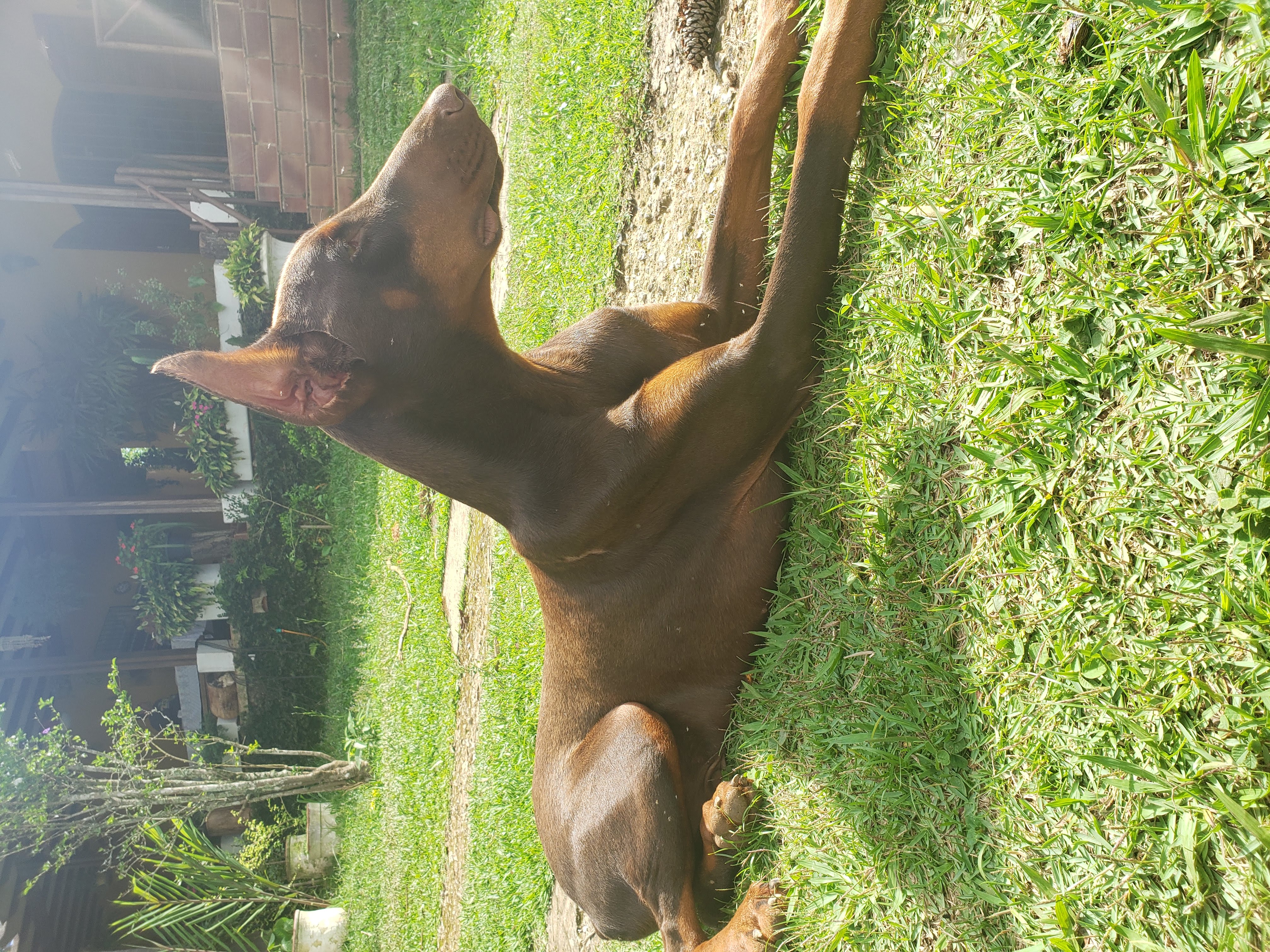 image-8