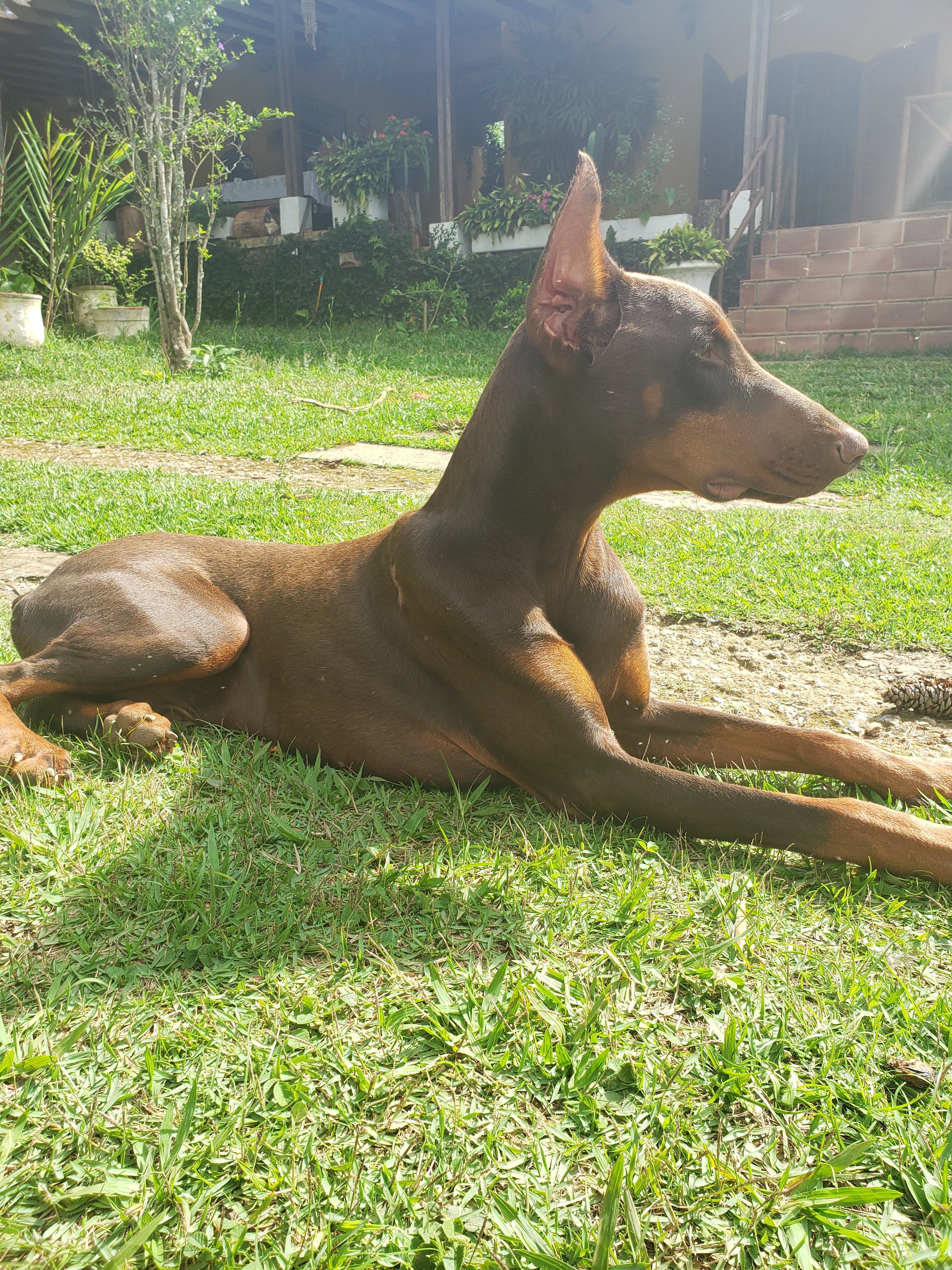 image-8