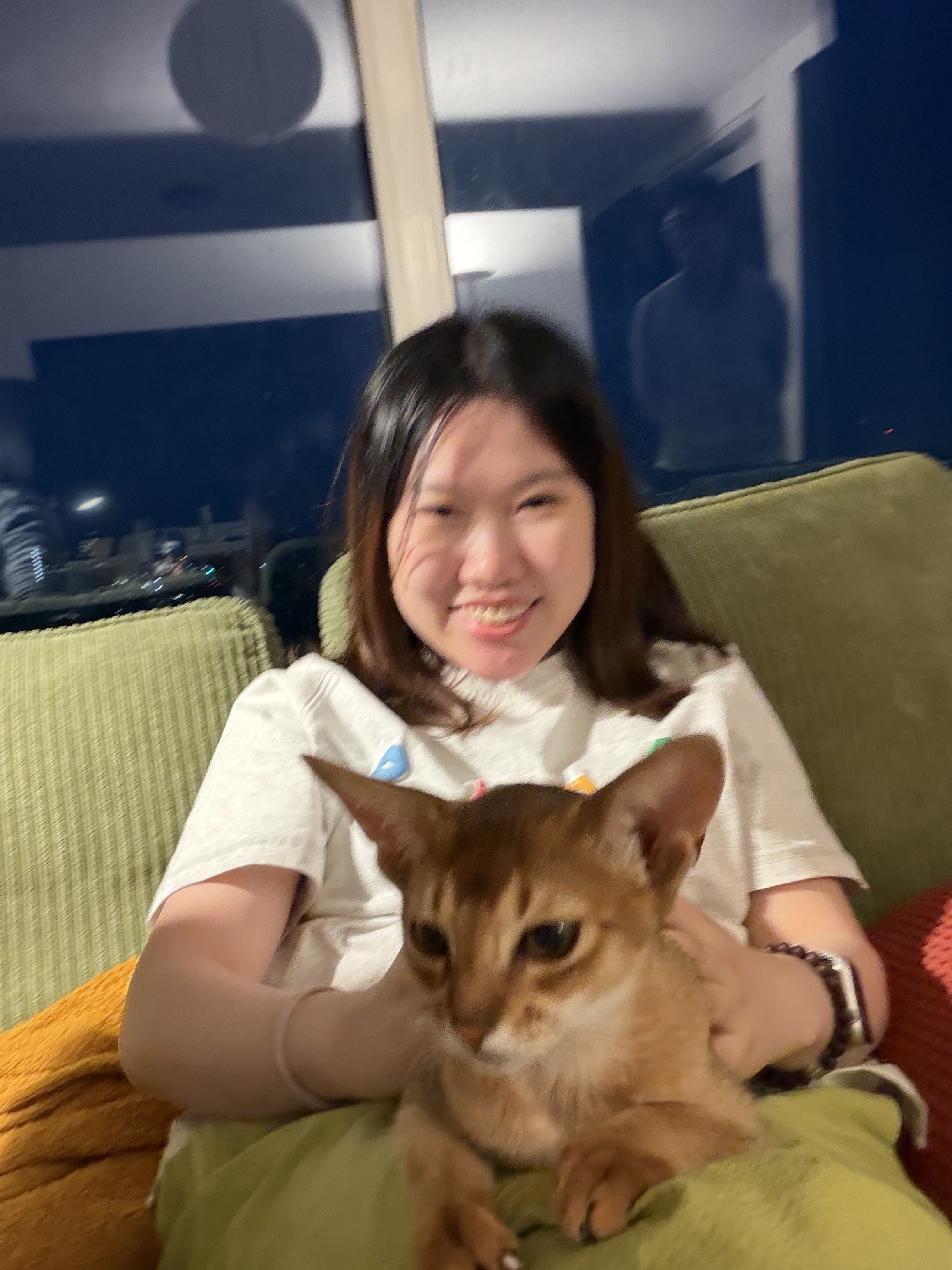 image-6