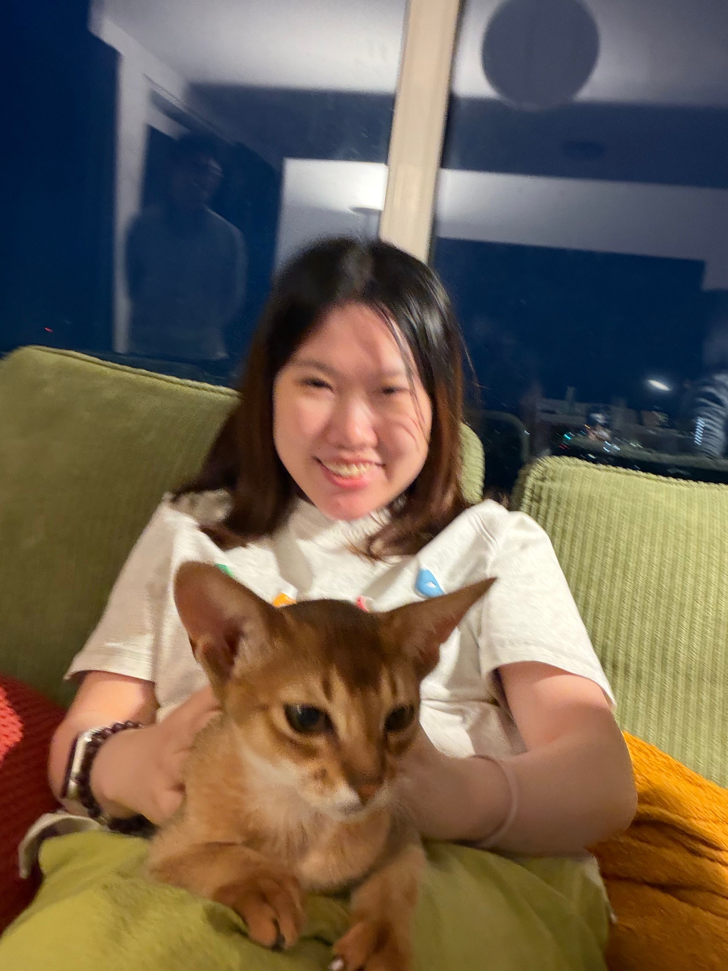 image-6