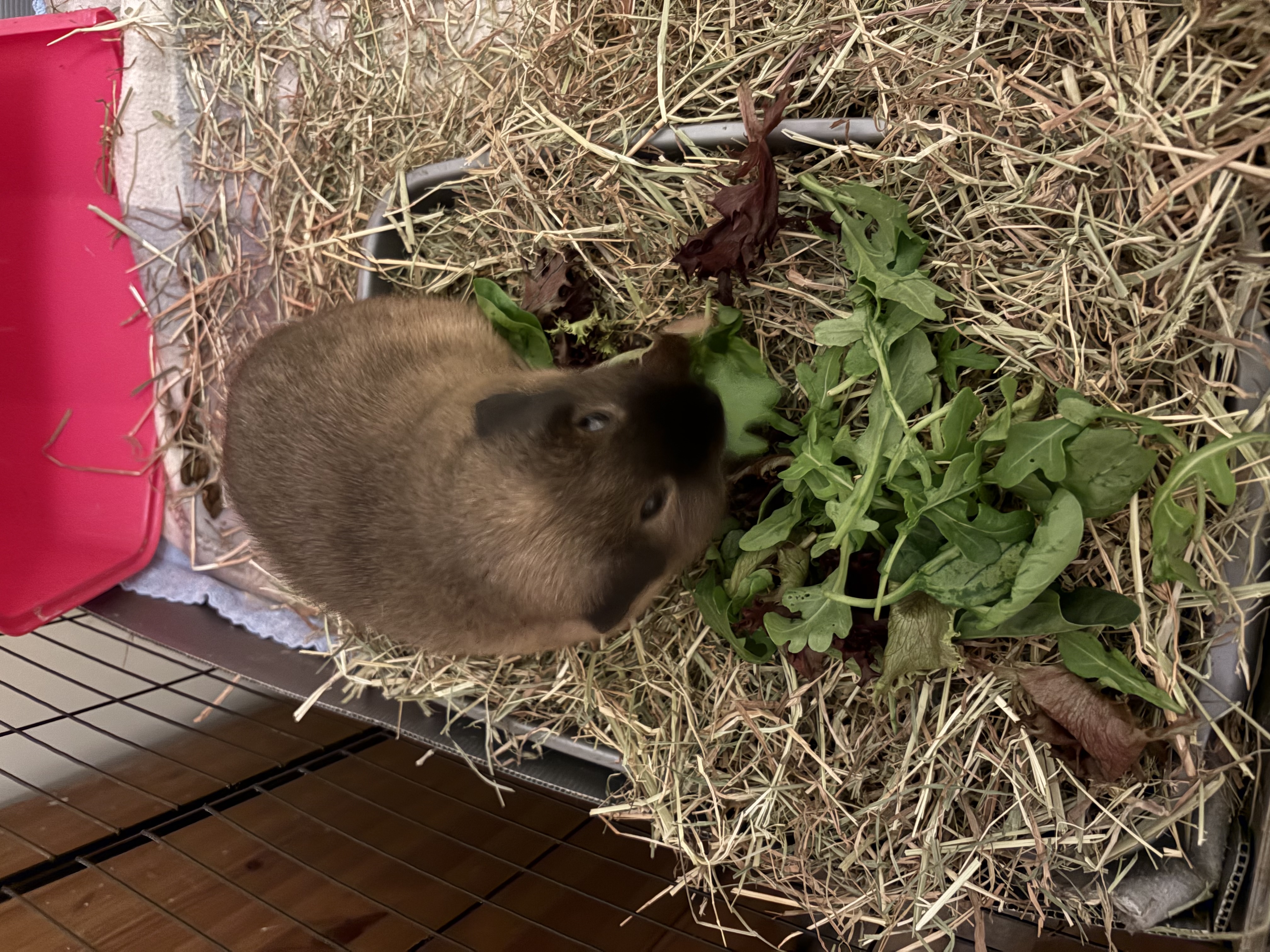 image-6