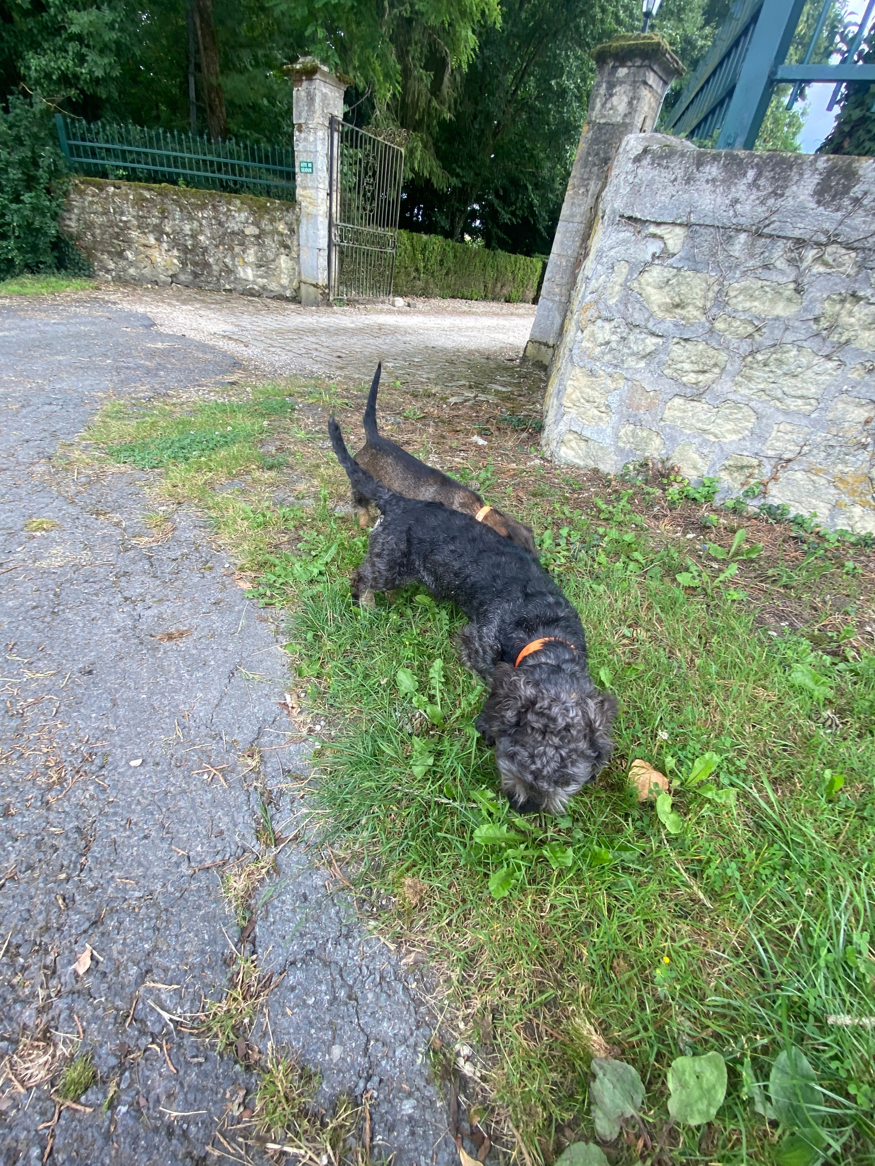 image-6