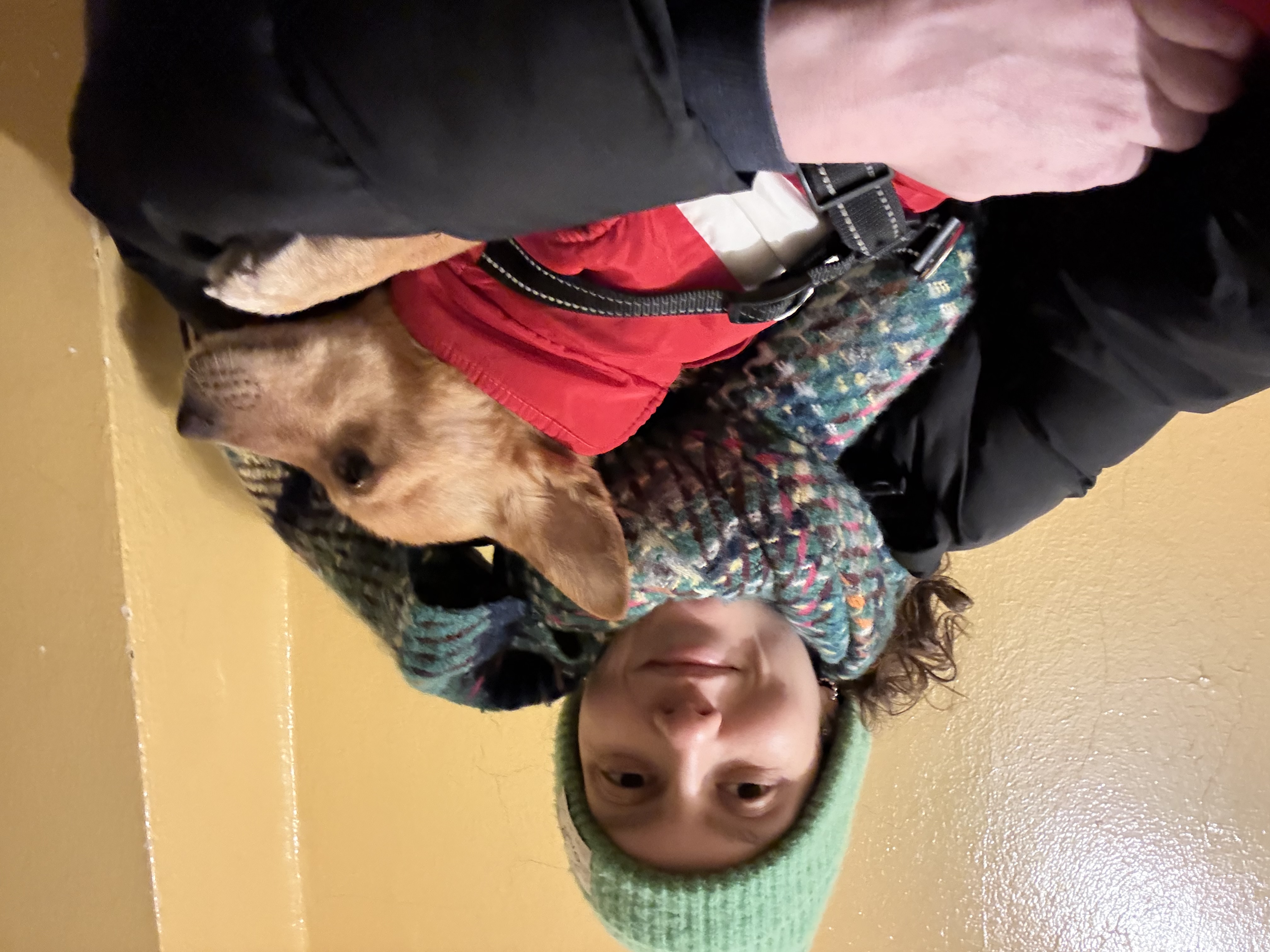 image-10