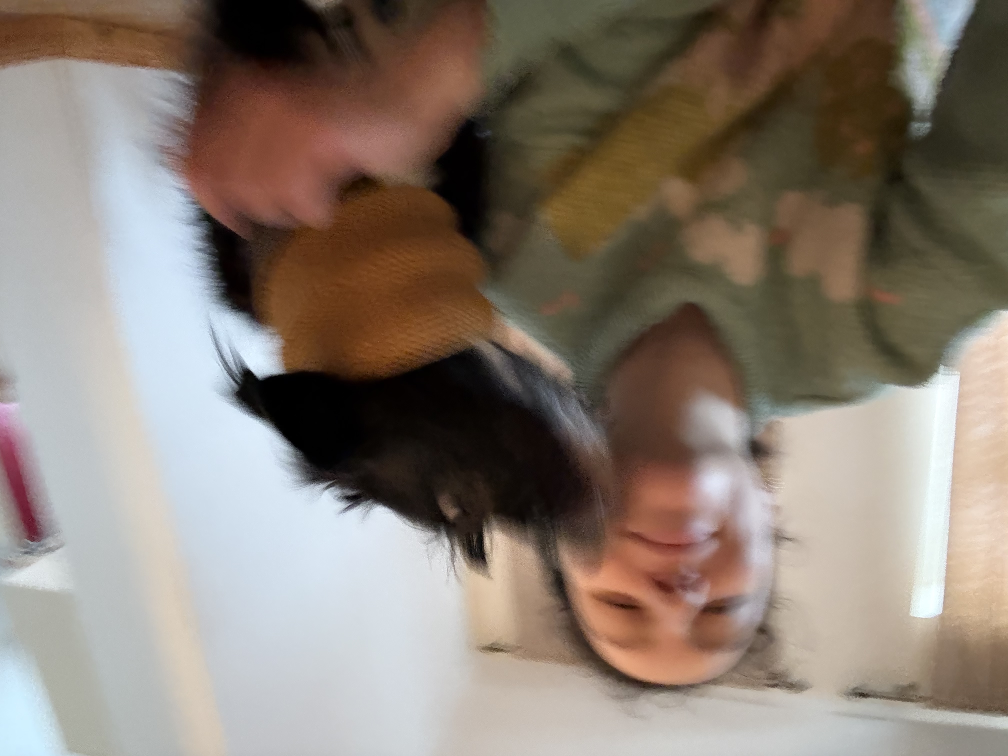 image-4