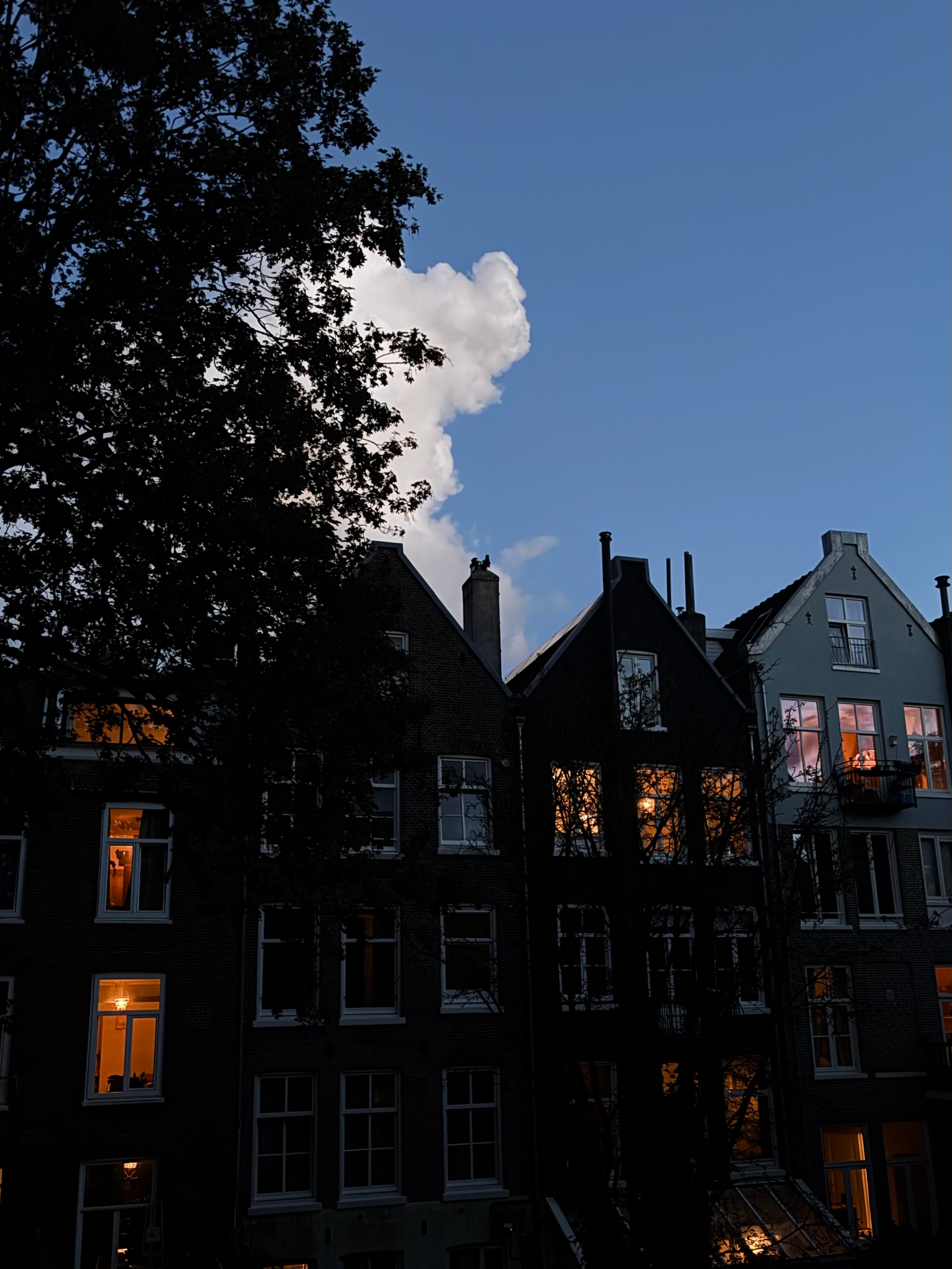 image-17