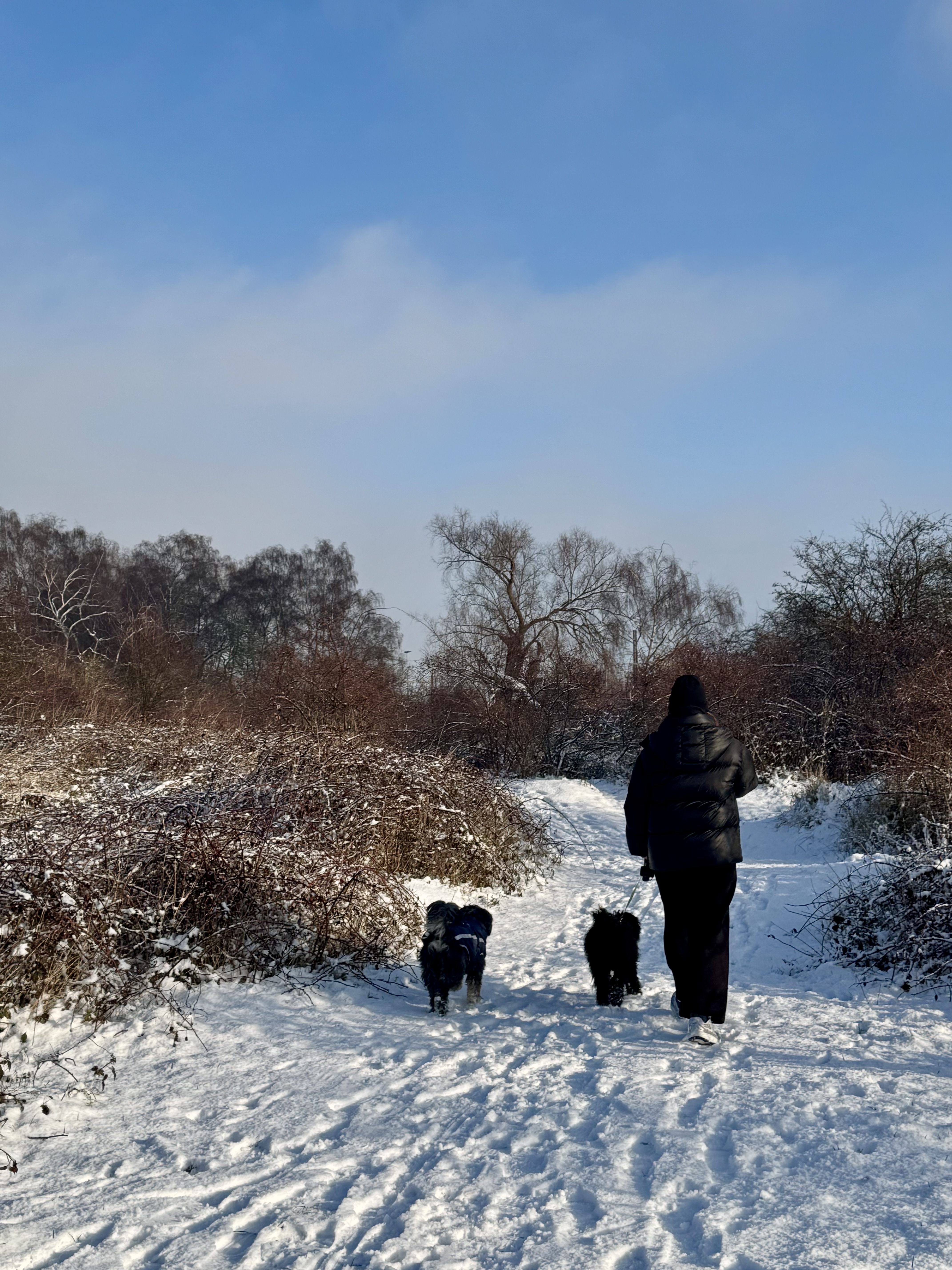 image-4