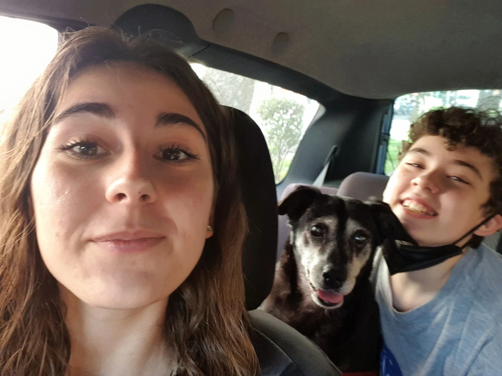 image-13