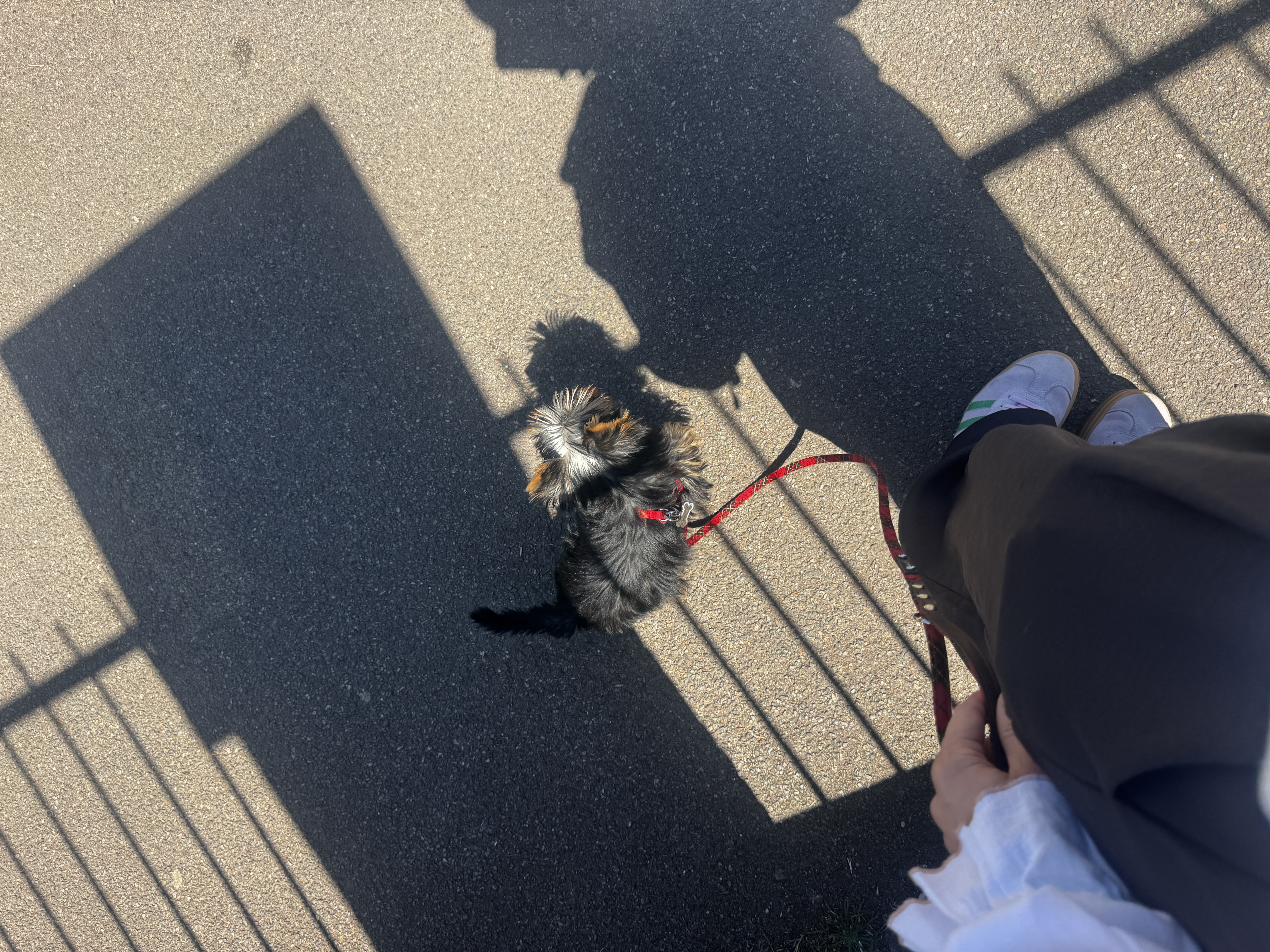 image-8