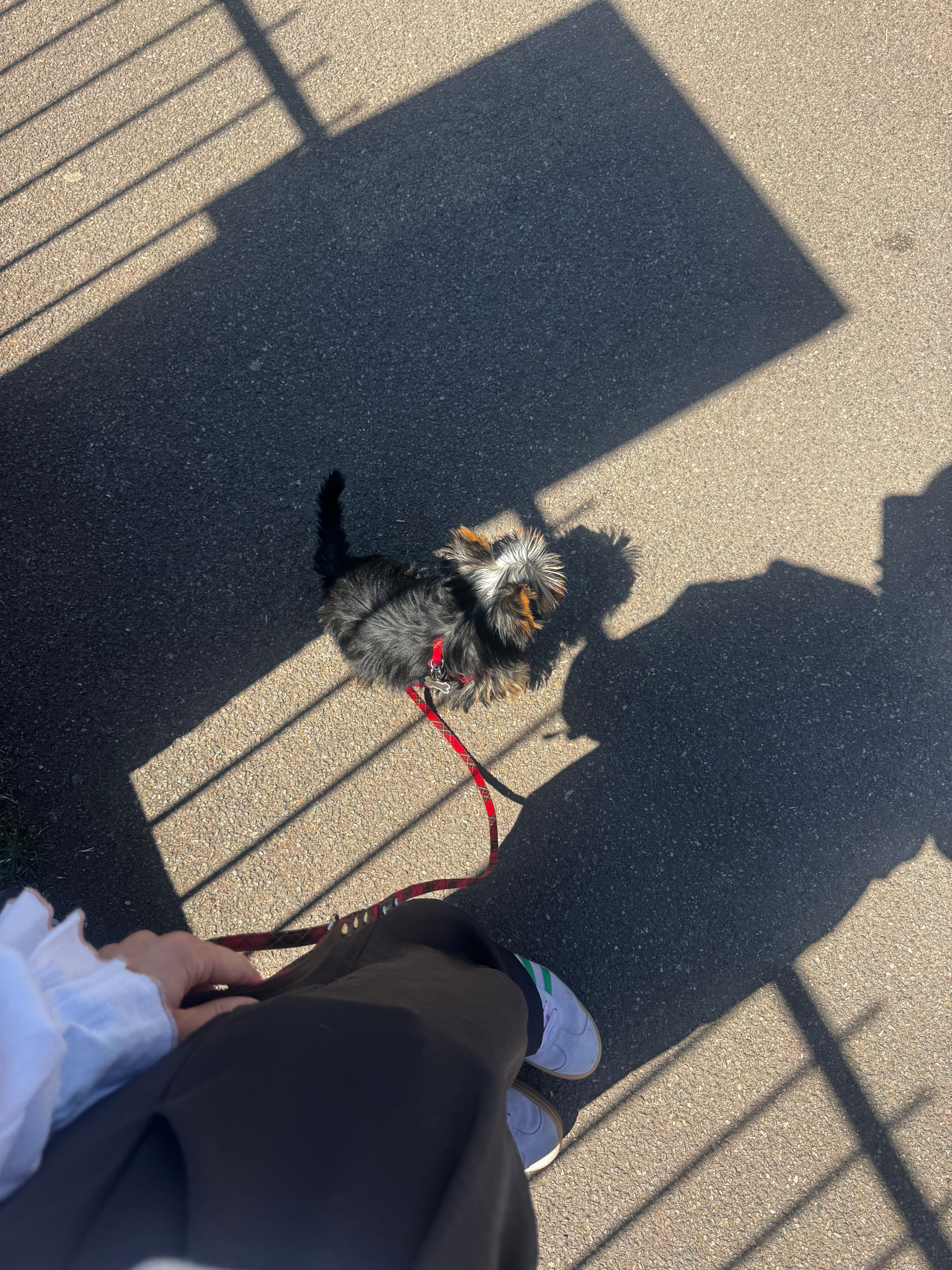 image-8