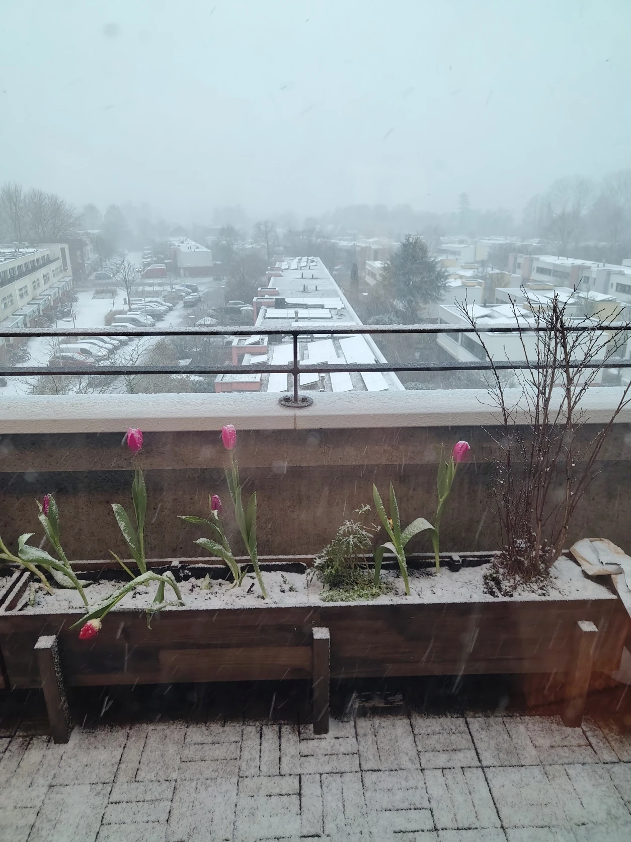 image-16